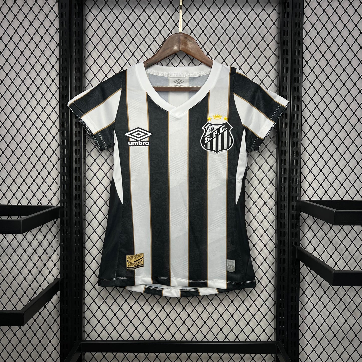 Santos 24/25 Feminina Alternativa
