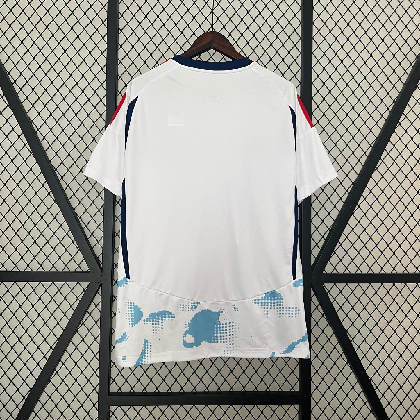 Costa Rica 2024 Alternativa