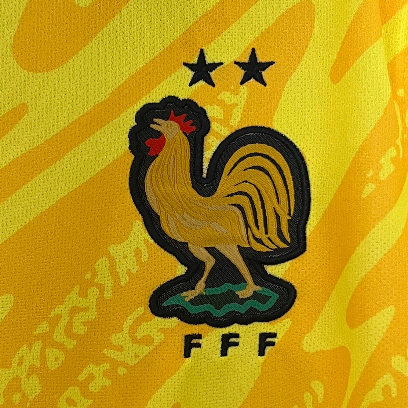 França 2024 Goalkeep