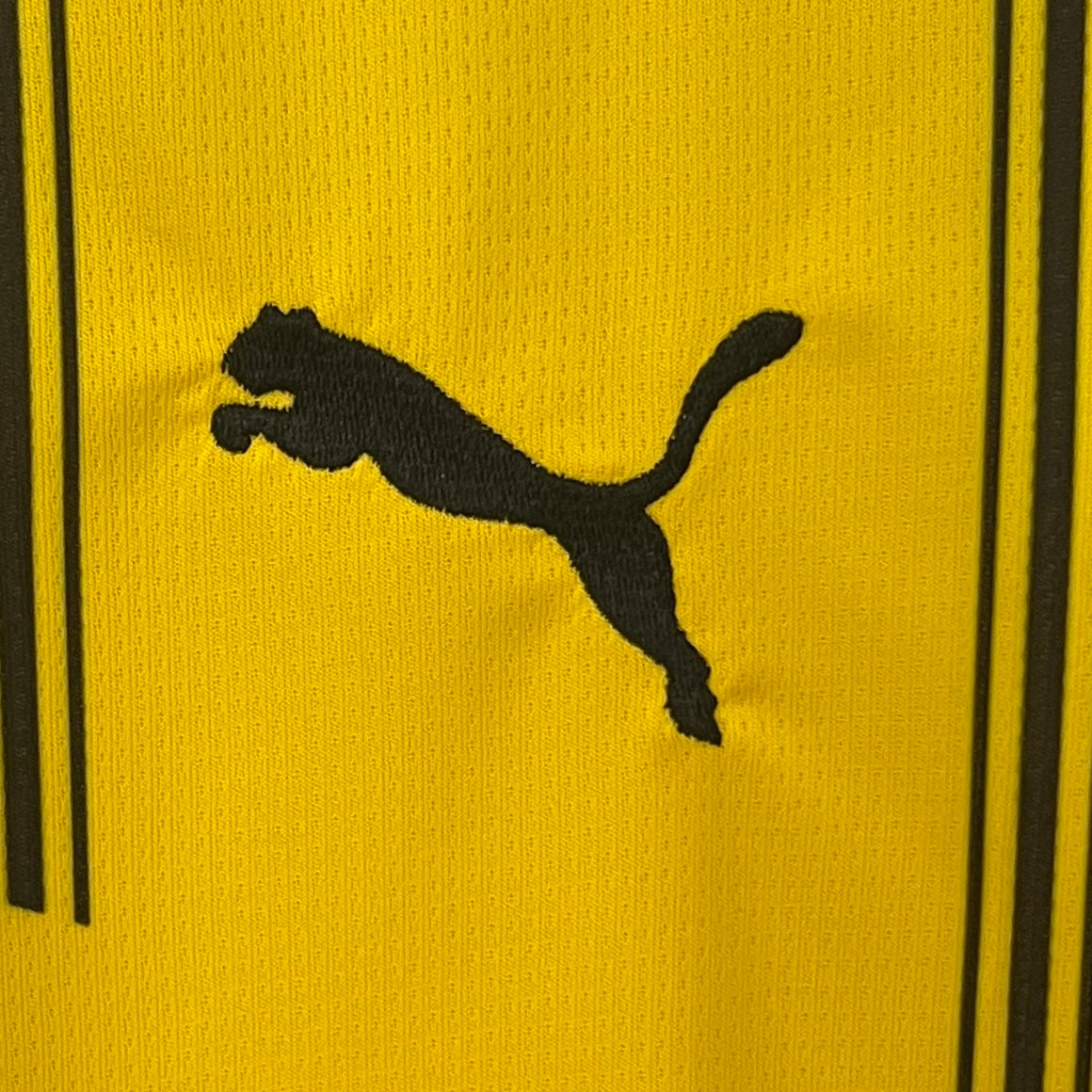 Dortmund 24/25 Casa