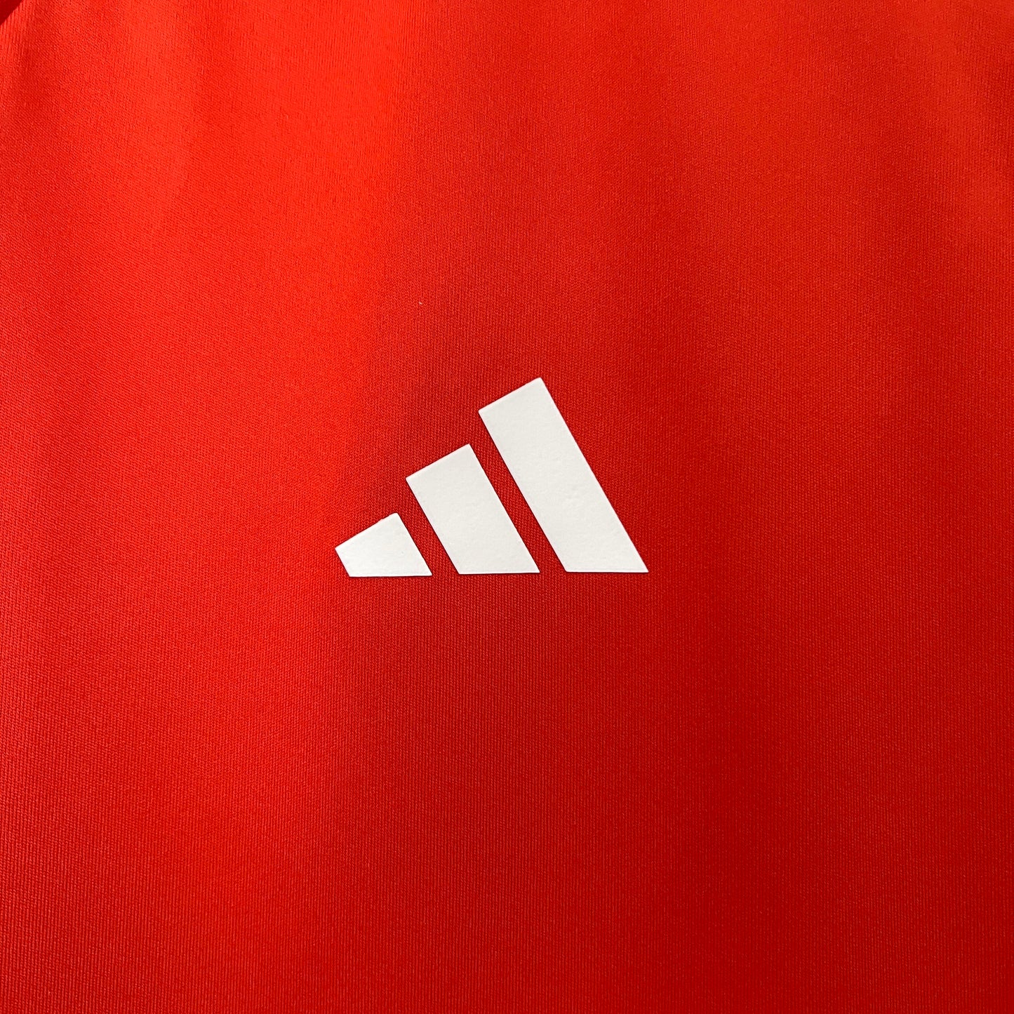 Cruzeiro 24/25 Training Wear Red