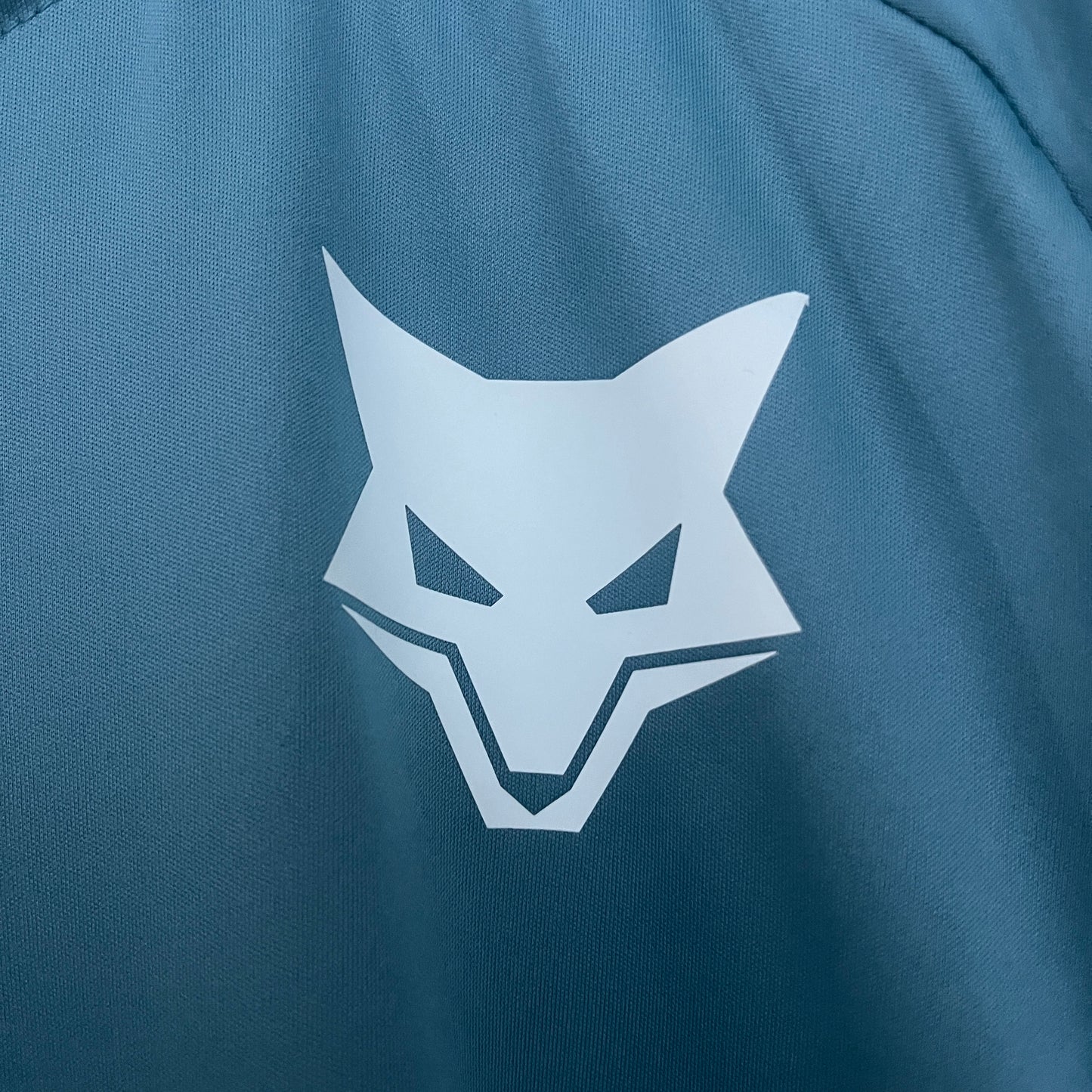 Cruzeiro 25/26 training suit