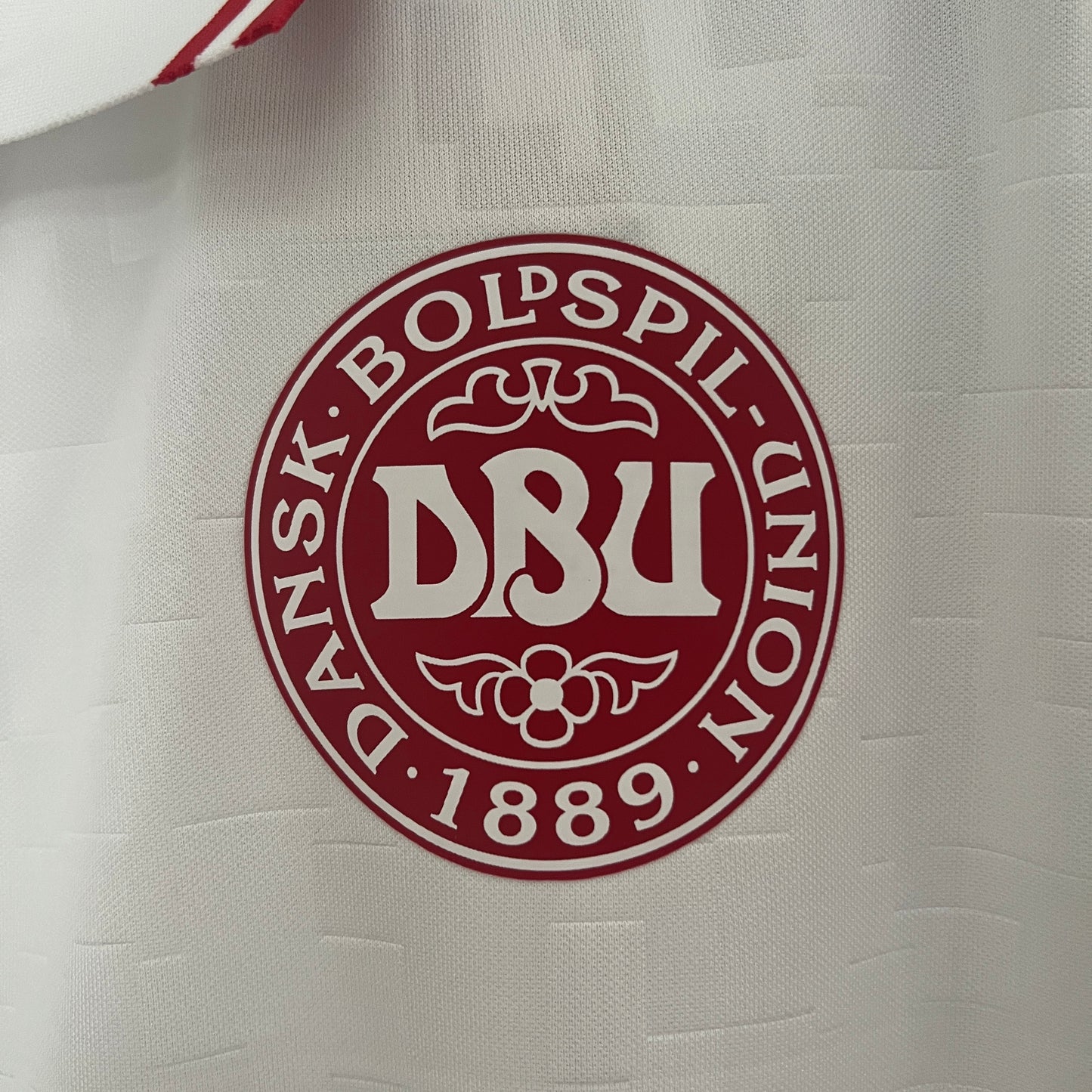 Dinamarca 2024 Alternativa