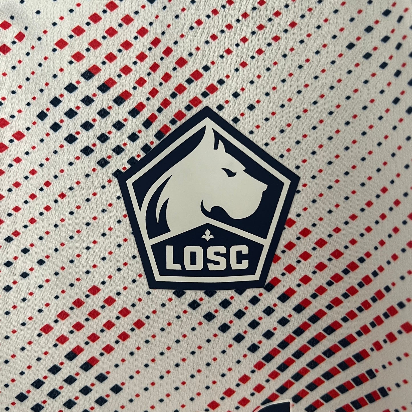 Lille 24/25 Alternativa