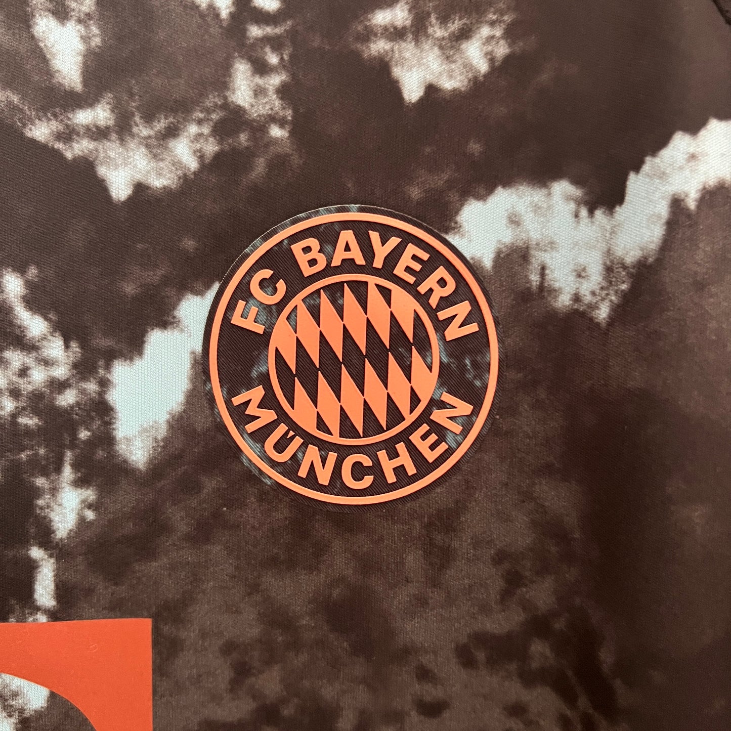 Bayern Munich 24/25 Alternativa