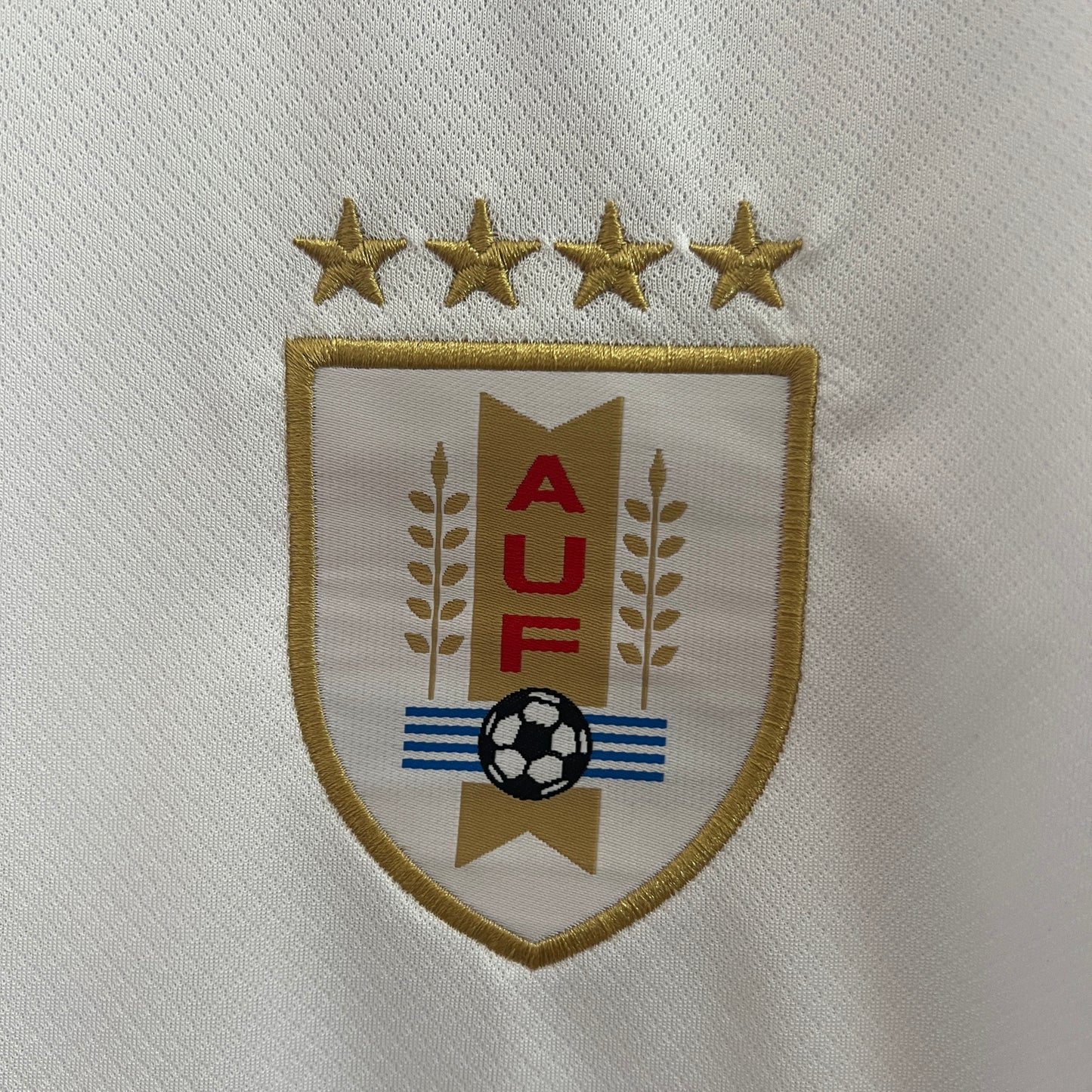 Uruguay 2024 Alternativa