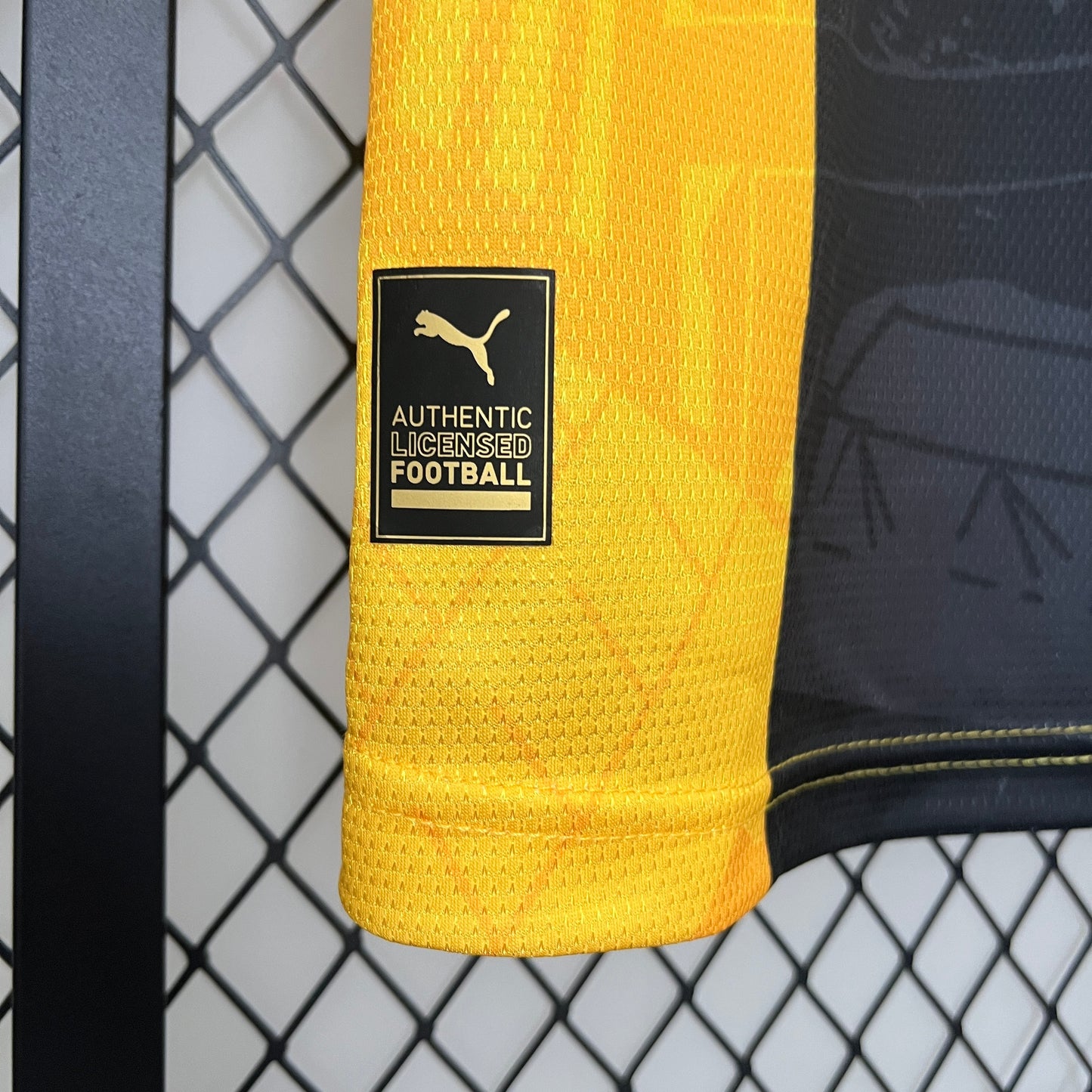 Dortmund 24/25 Special Edition 2