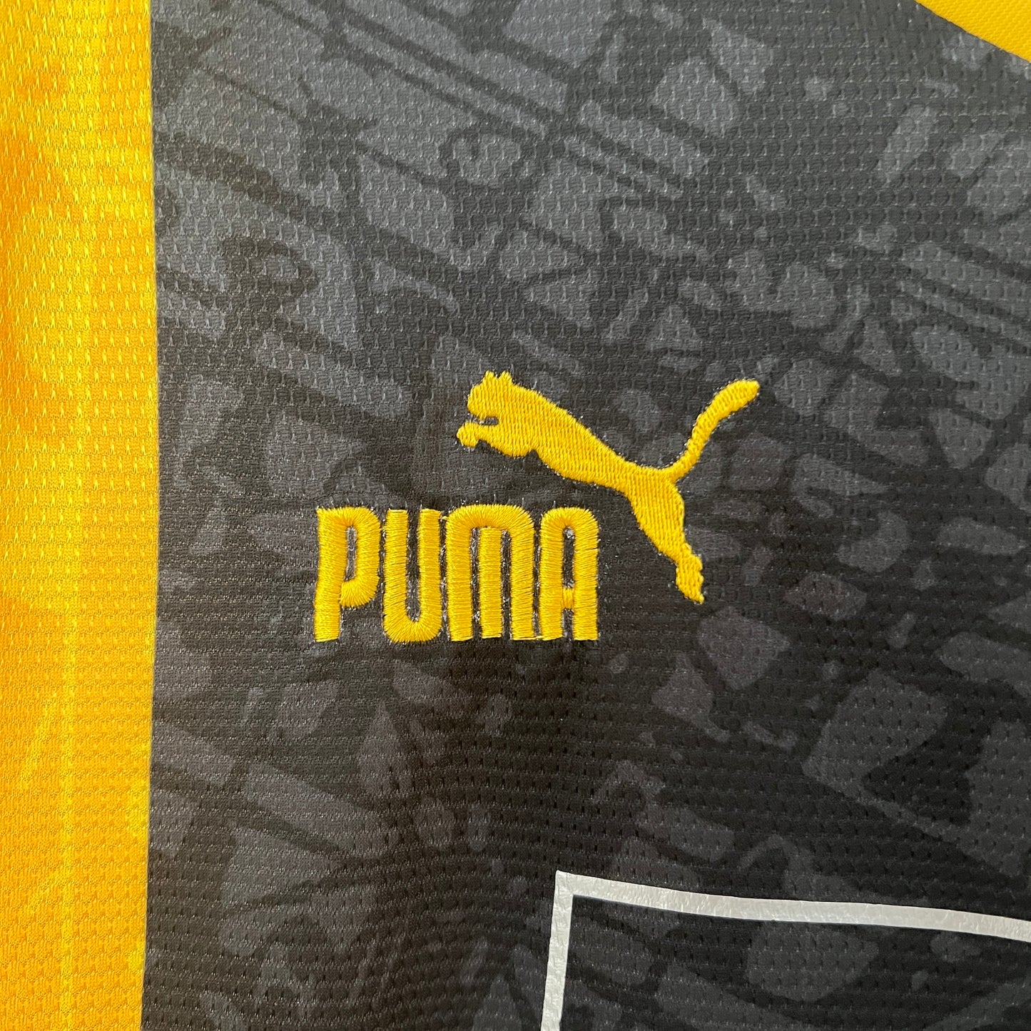 Dortmund 24/25 Special Edition 2