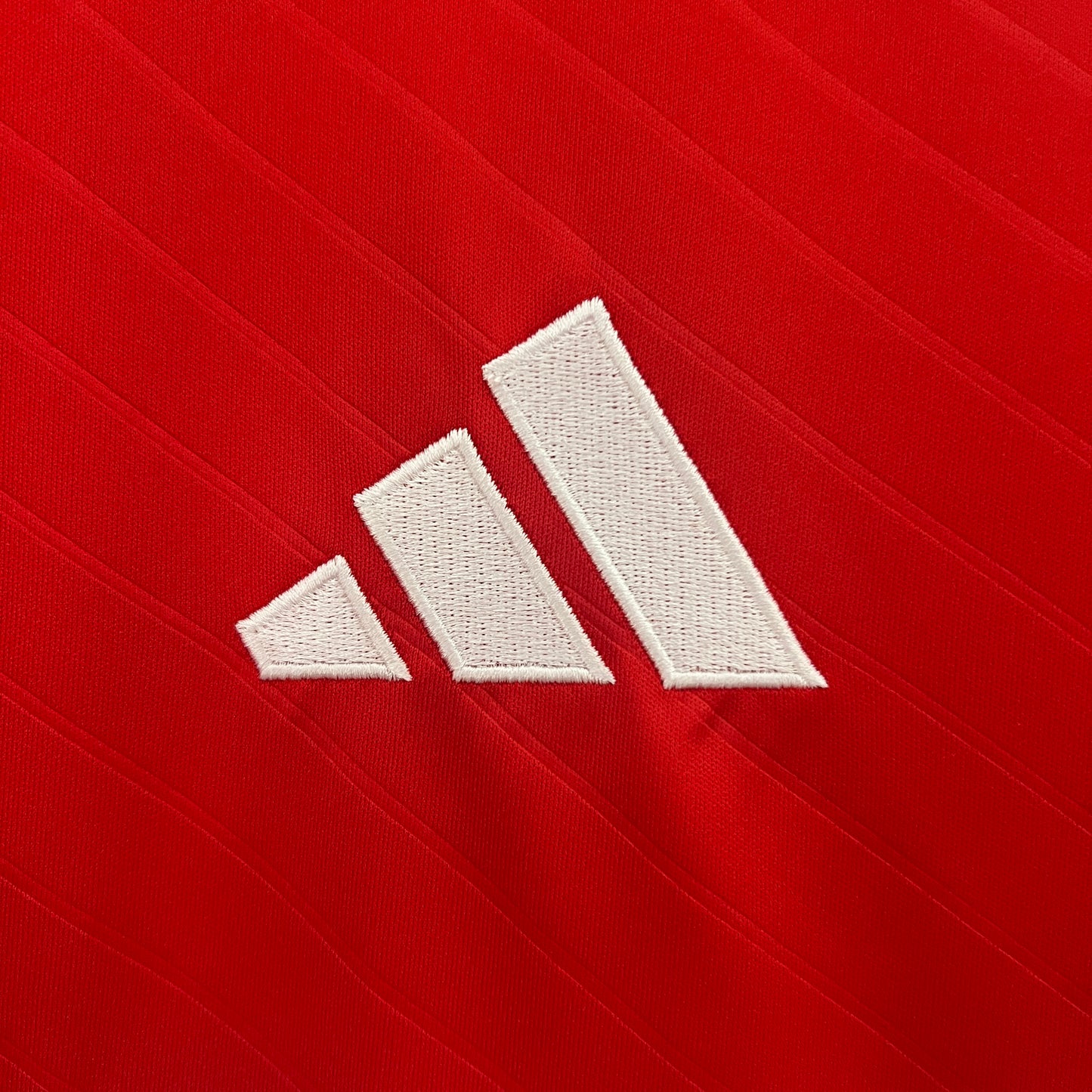 Benfica 24/25 Casa