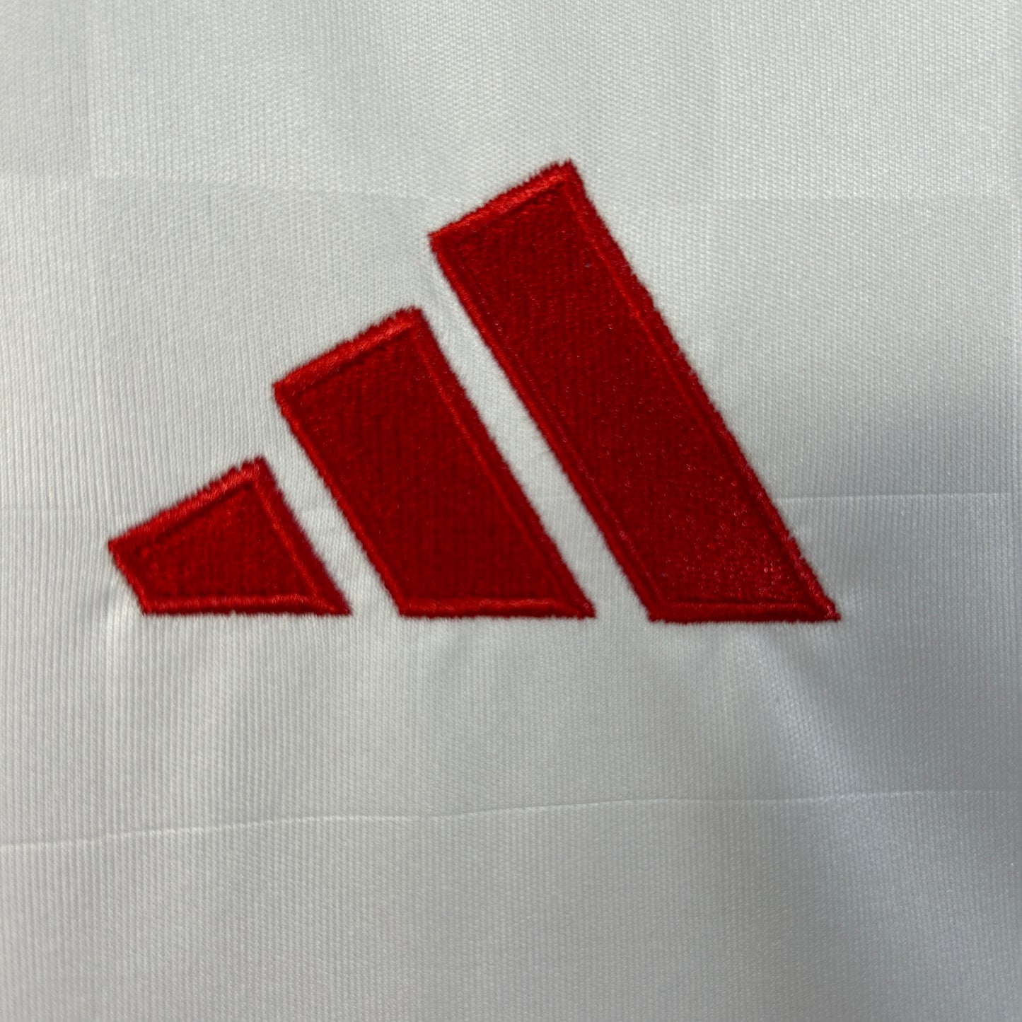 Benfica 25/26 Alternativa 3