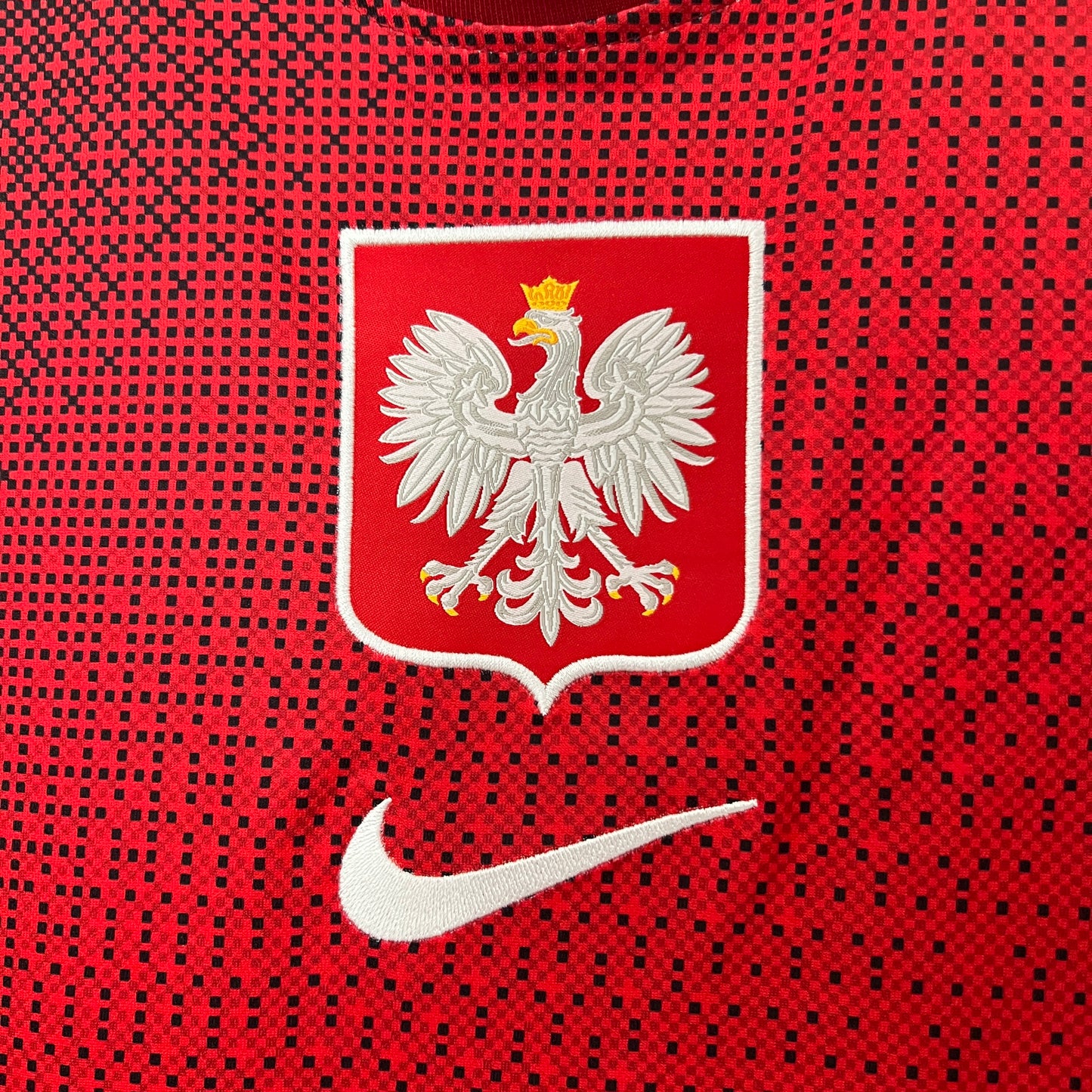 Polonia 2024 Alternativa