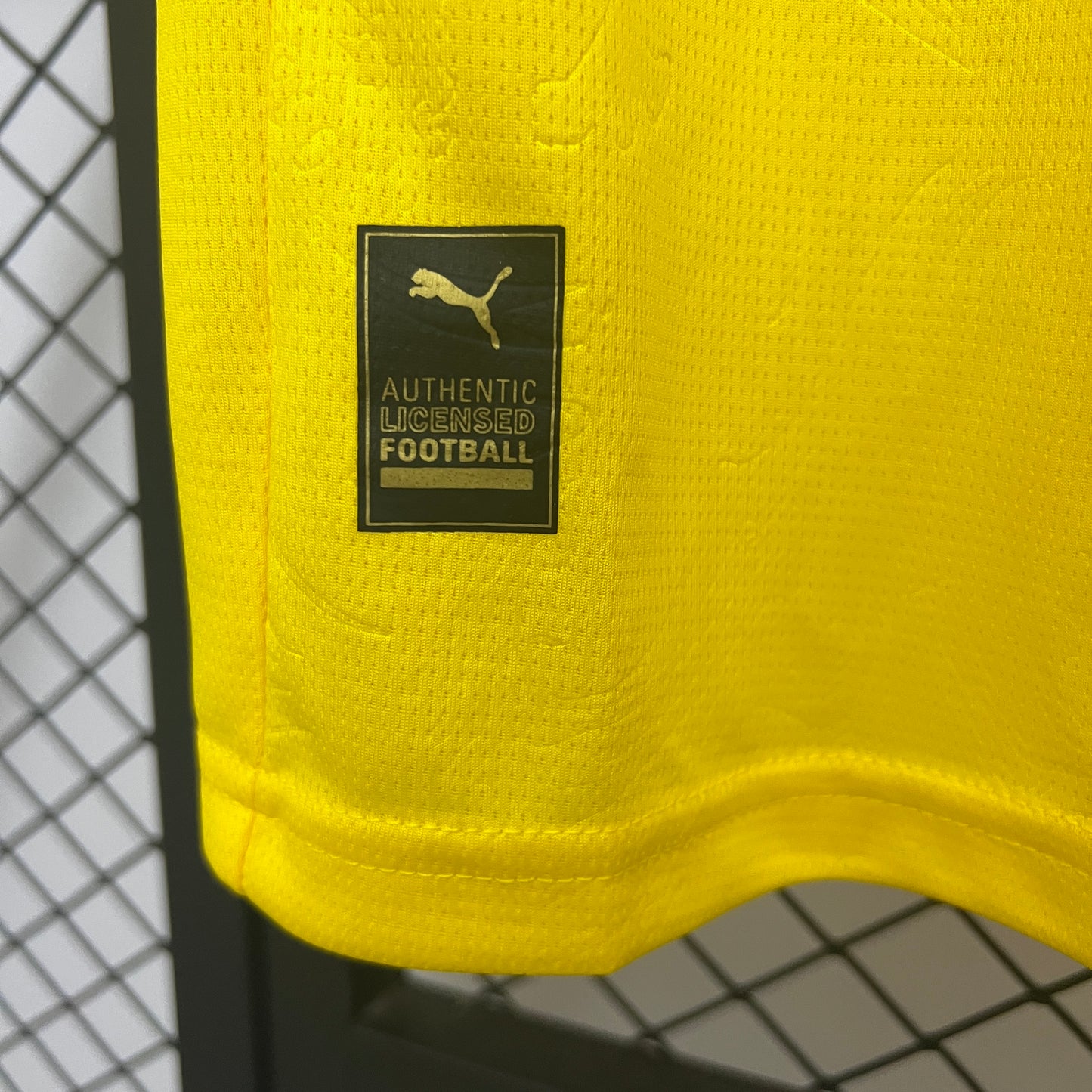 Dortmund 25/26 Special Edition