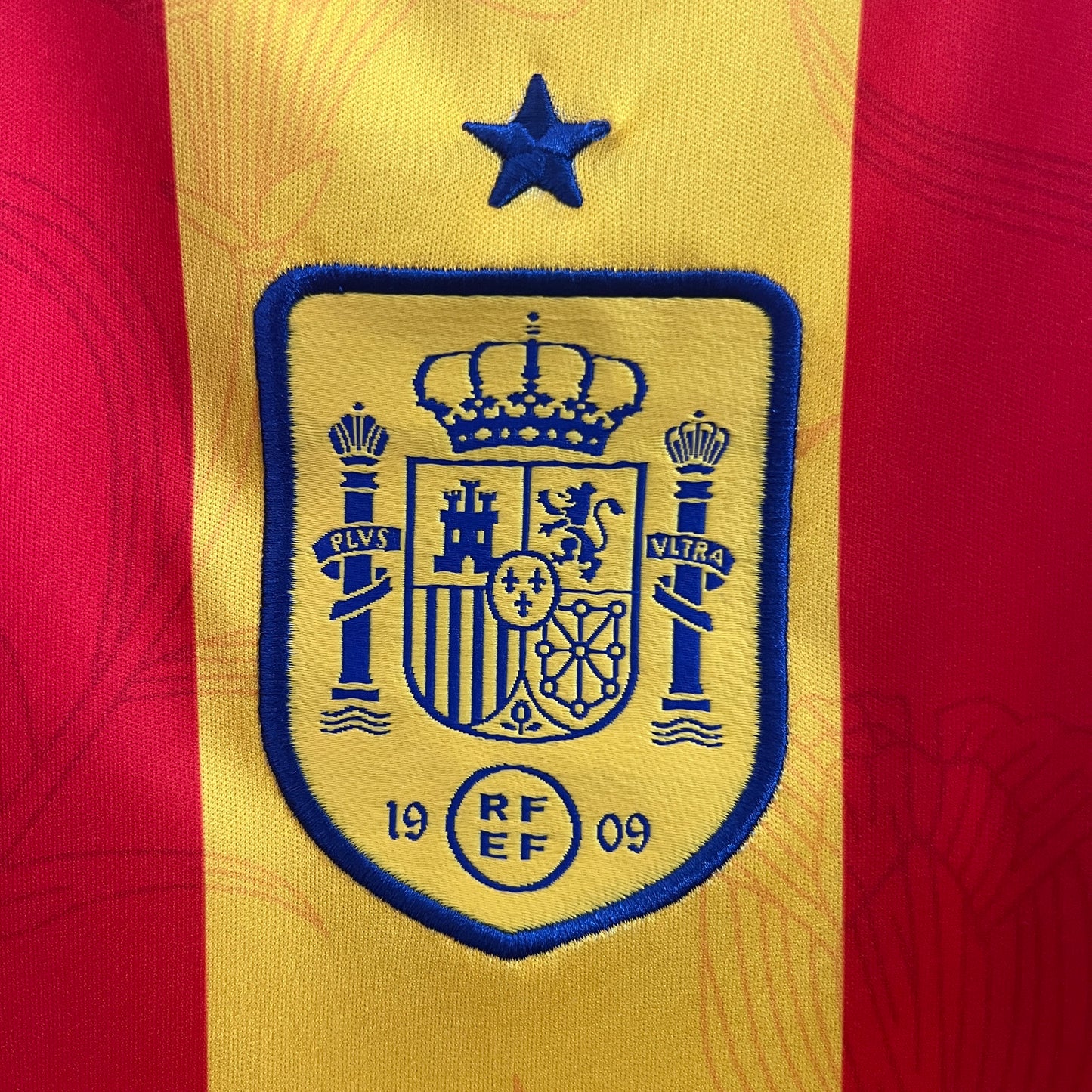 Espanha 2024 - Training
