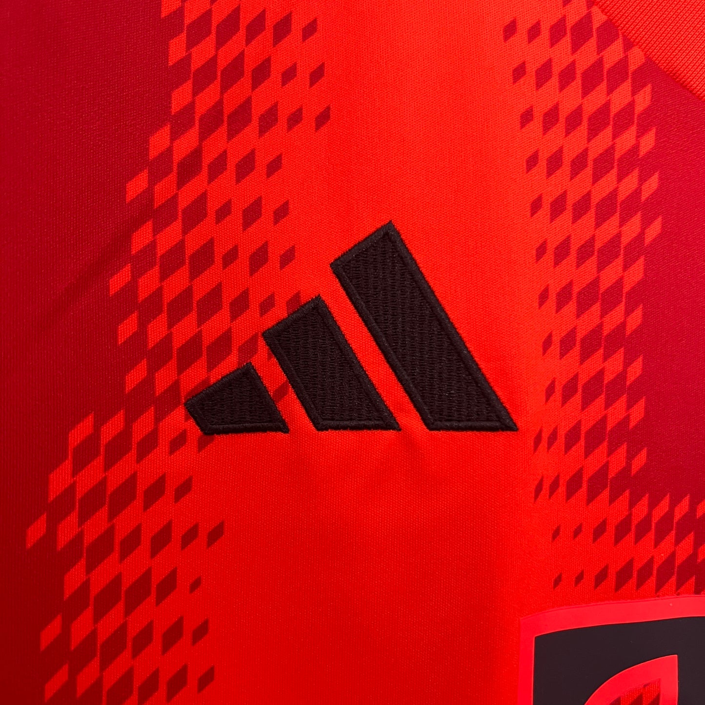 Bayern Munich 24/25 Casa