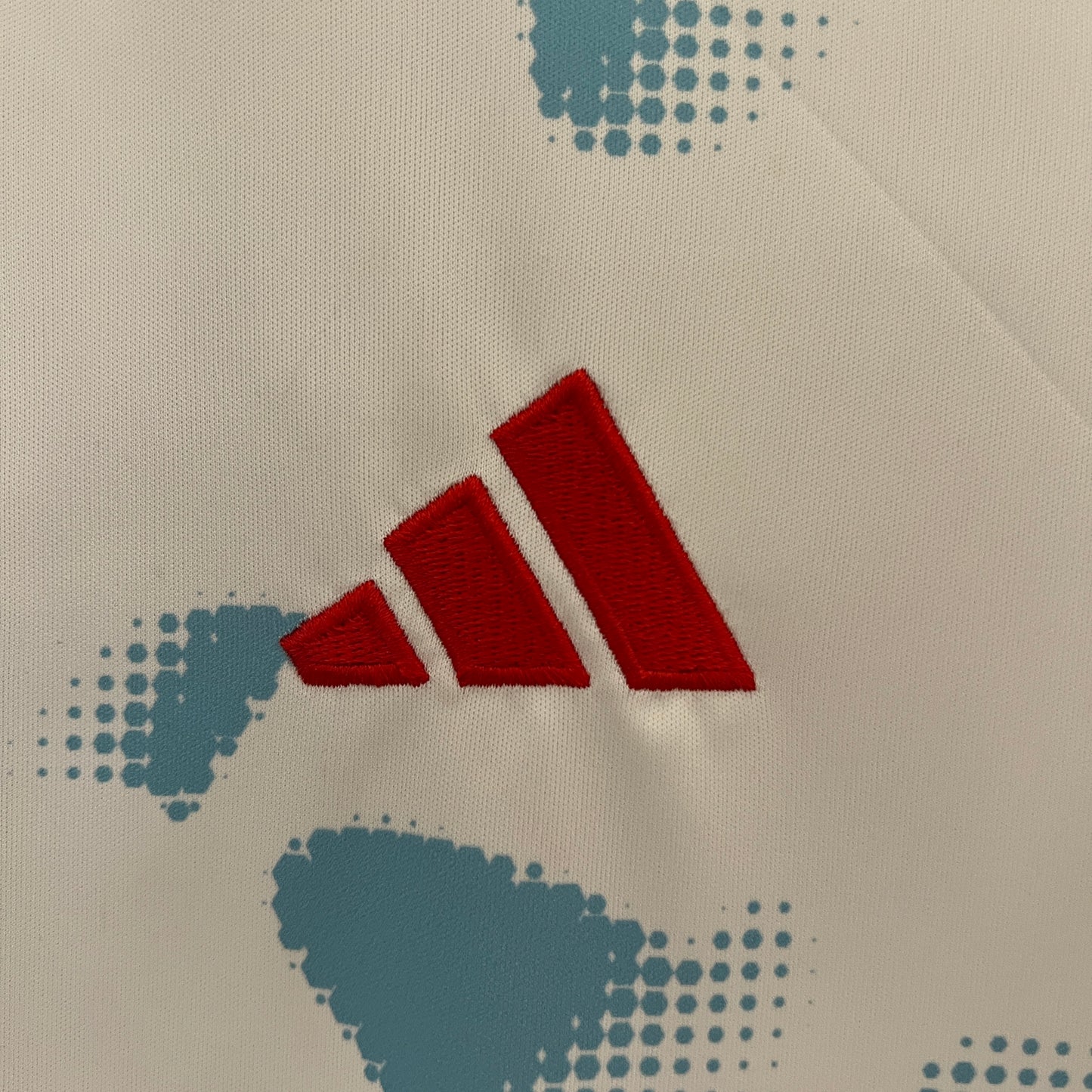 Costa Rica 2024 Alternativa