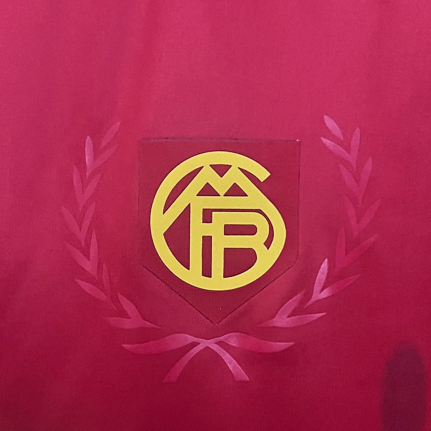 Bayern Munich 24/25 Special Edition