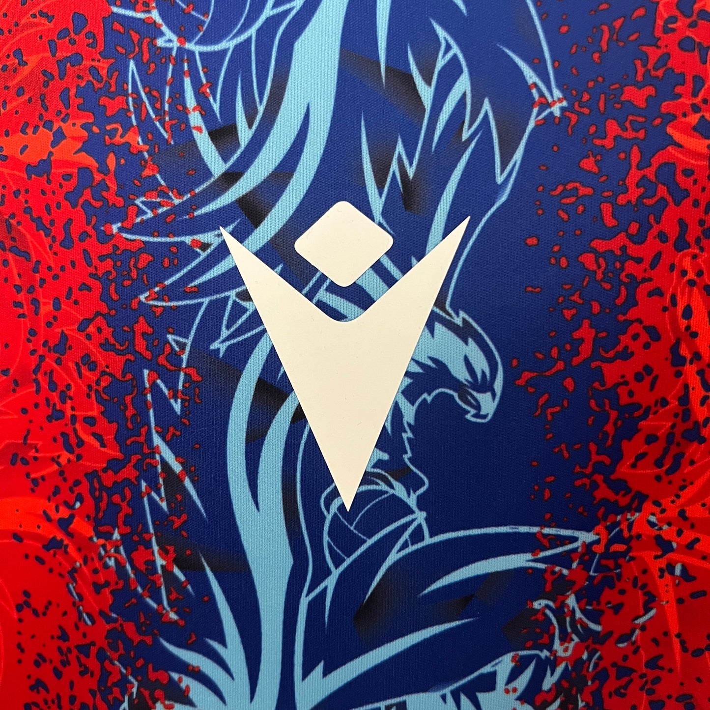 Crystal Palace 24/25 Casa
