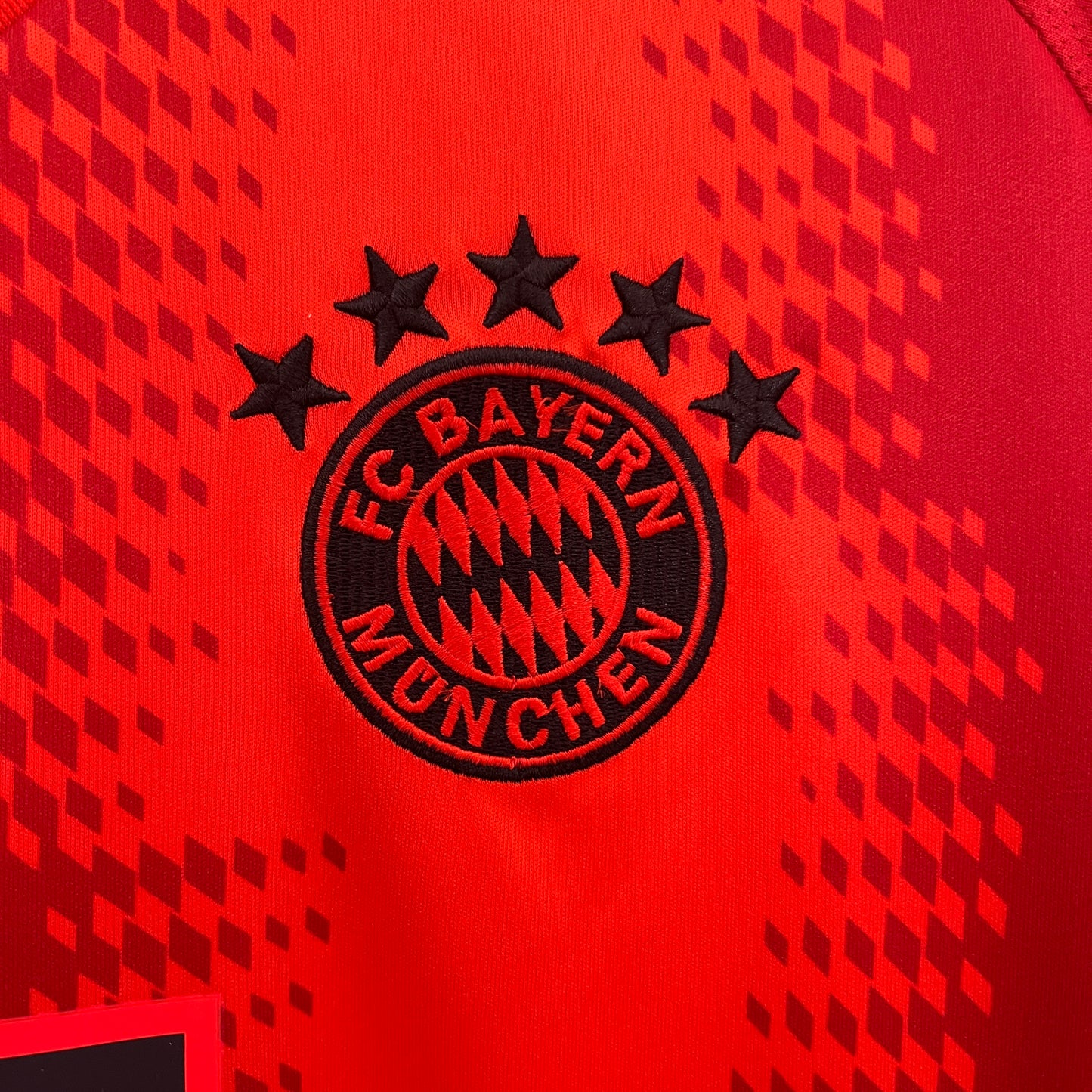 Bayern Munich 24/25 Casa