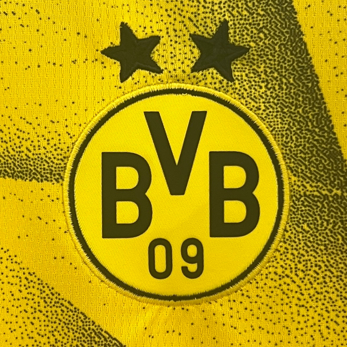 Dortmund 23/24 Alternativa 3