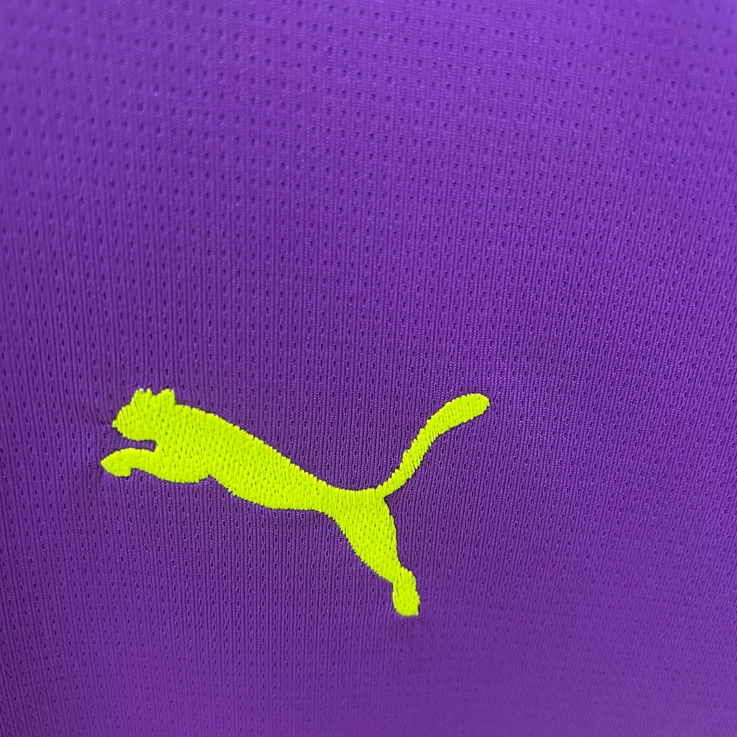 Dortmund 24/25 Goalkeeper Purple