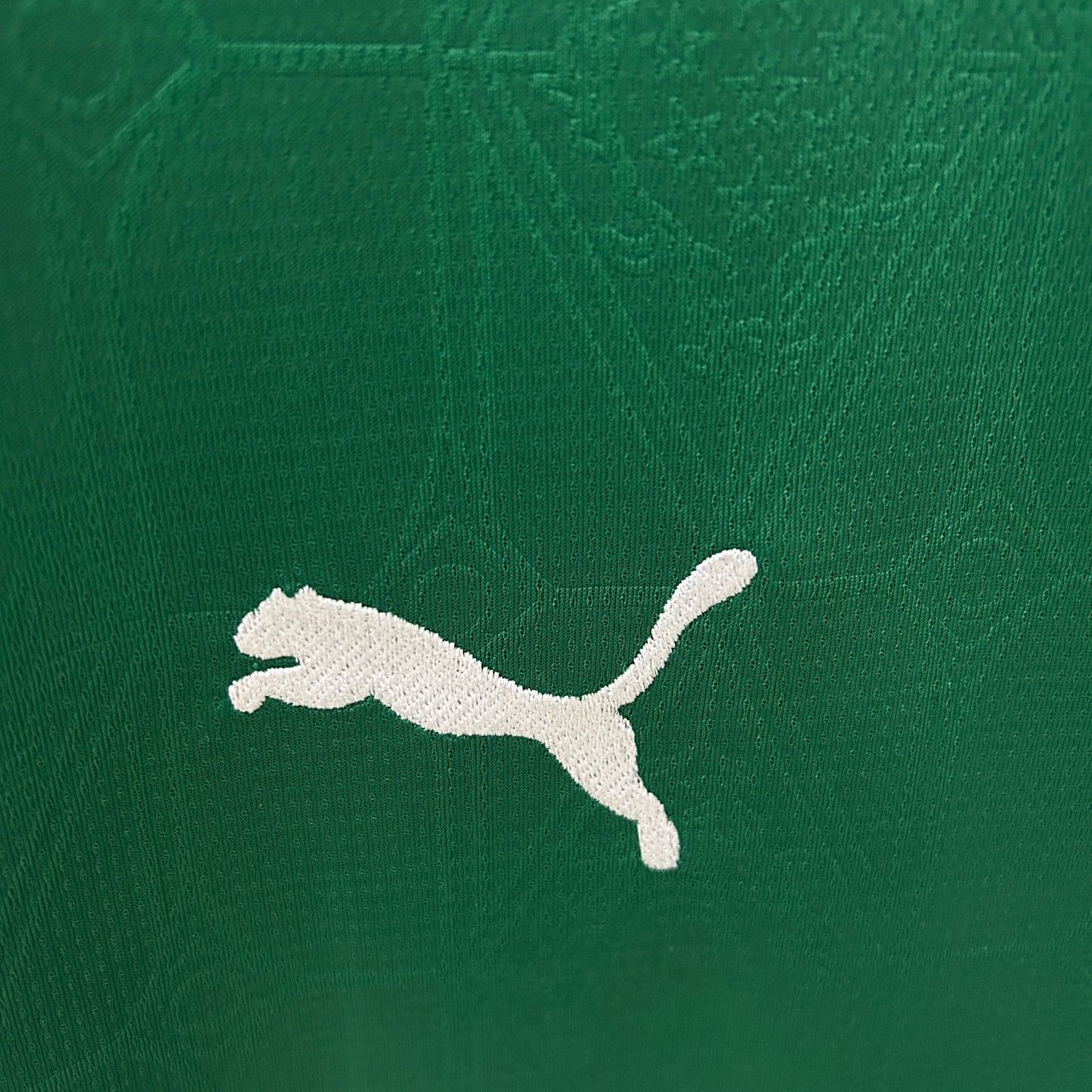 Palmeiras 25/26 Casa