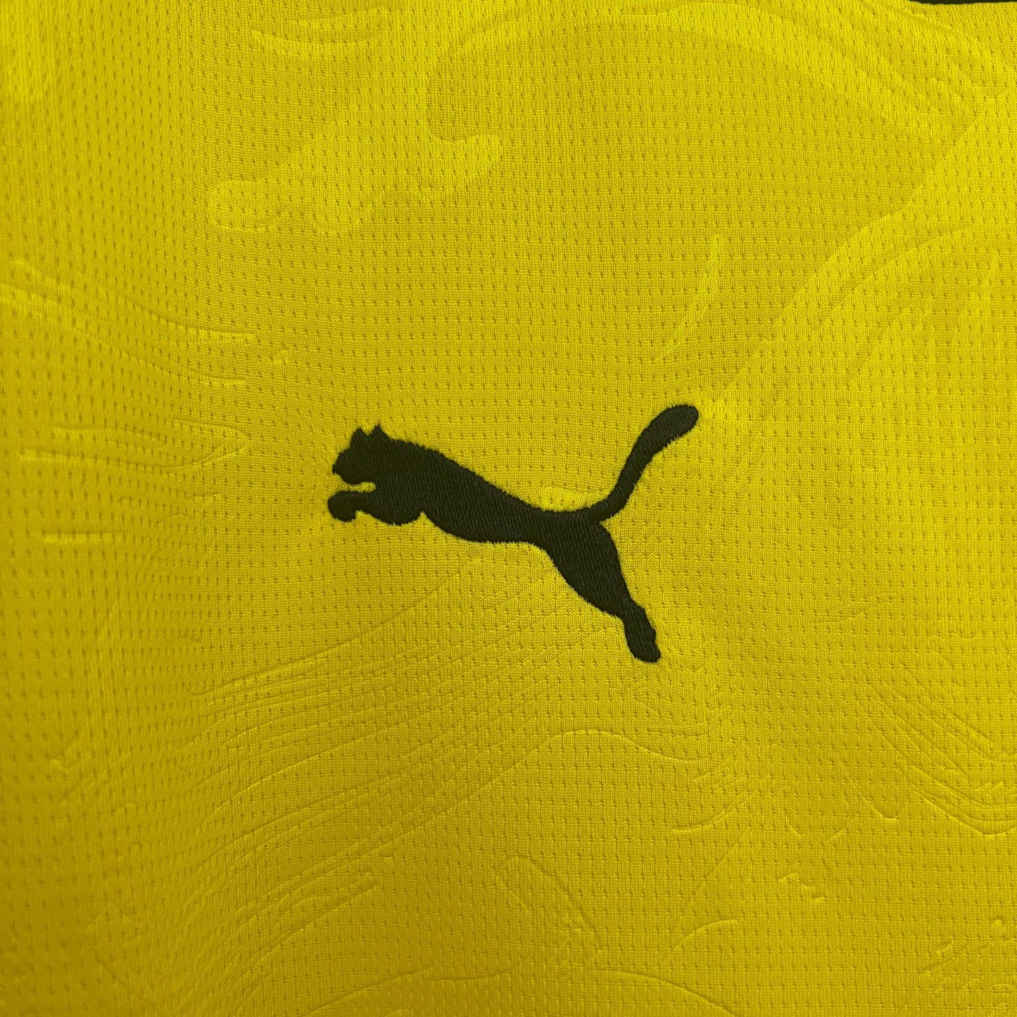 Dortmund 25/26 Special Edition