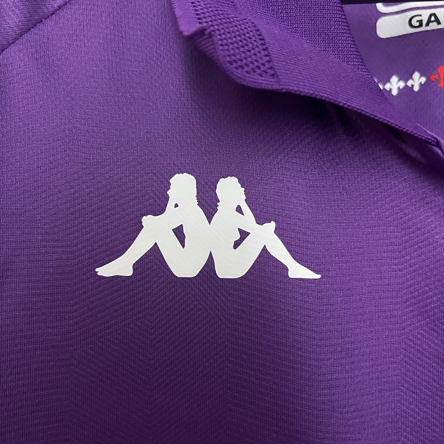 Fiorentina 24/25 Casa