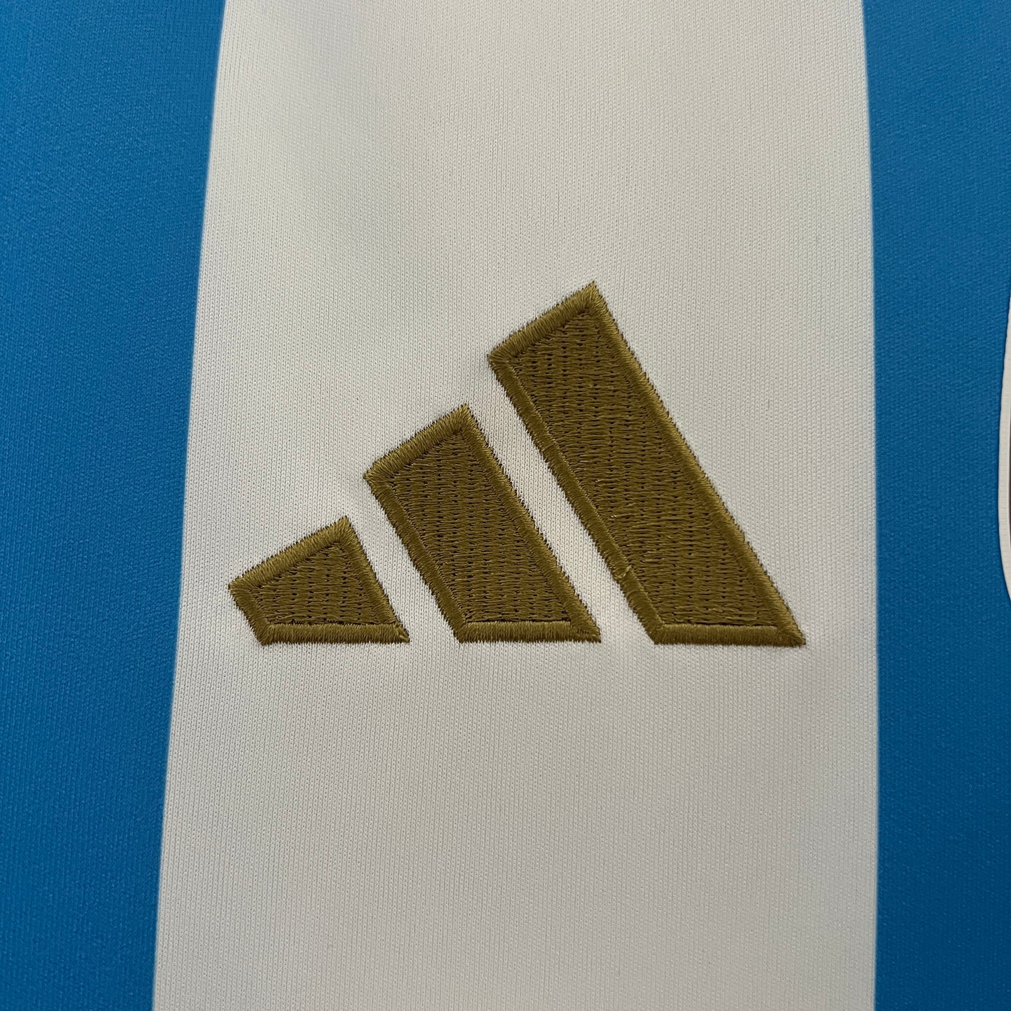 Argentina 2024 Casa