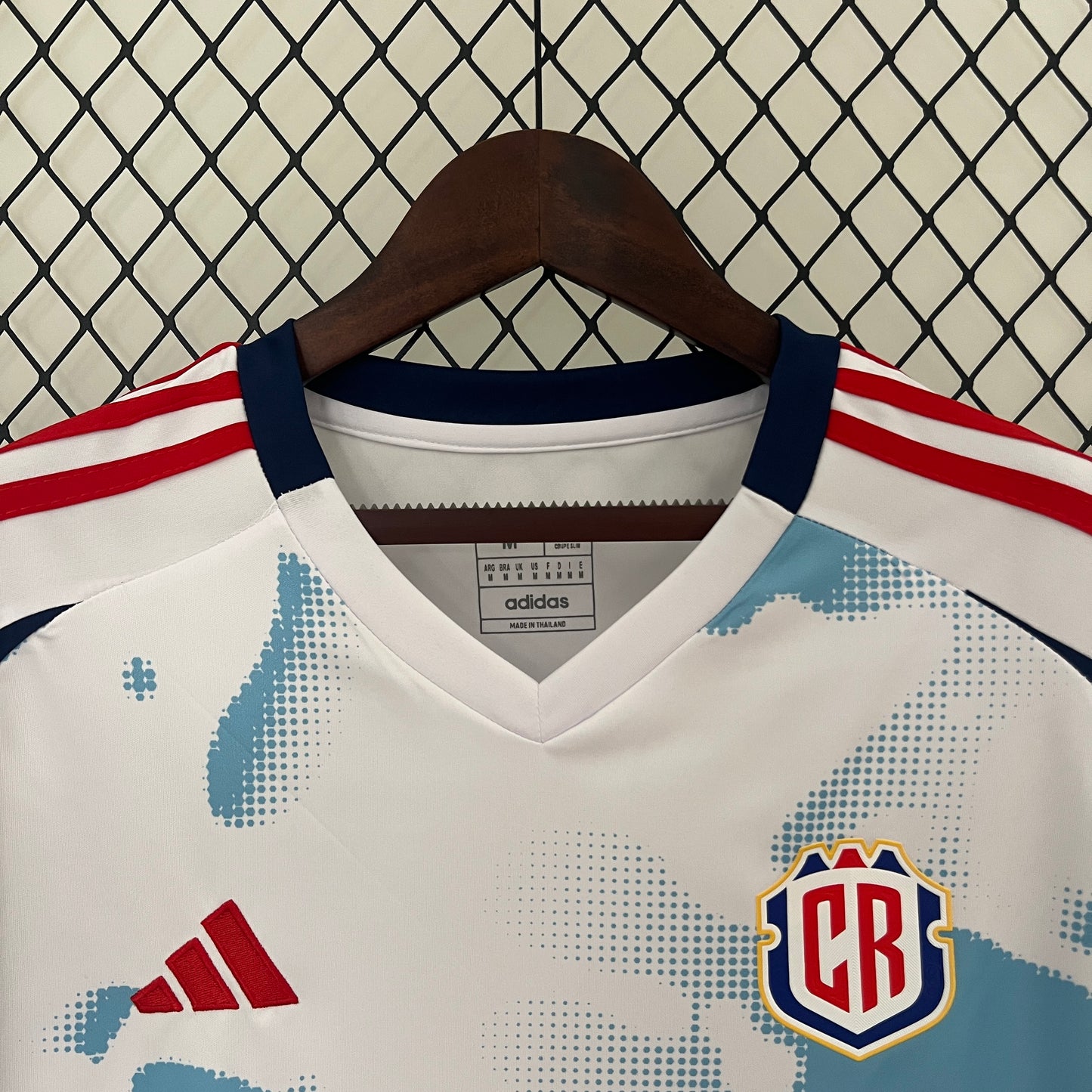 Costa Rica 2024 Alternativa