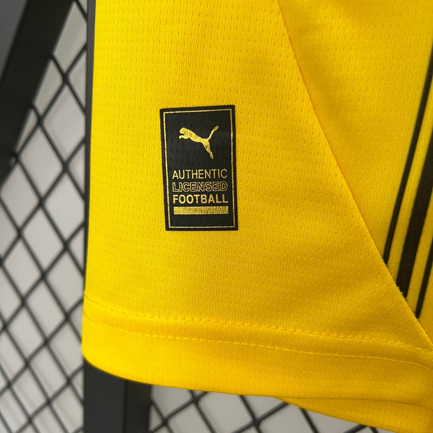 Dortmund 24/25 Casa
