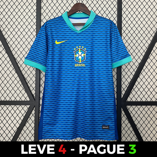 Brasil 2024 Alternativa