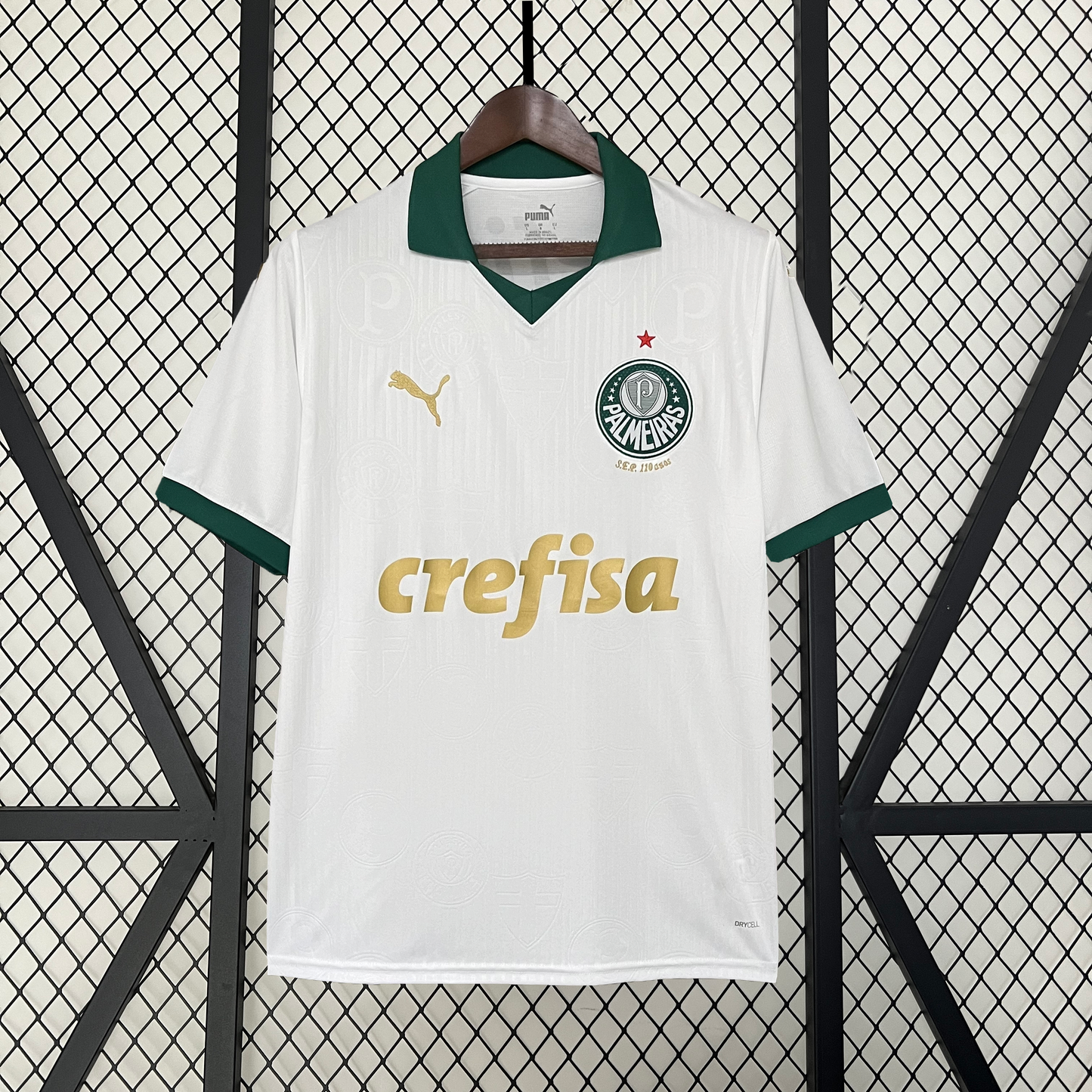 Palmeiras 24/25 Alternativa
