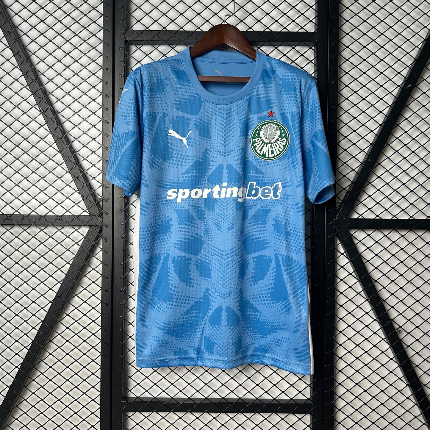 Palmeiras 25/26 Goalkeeper blue