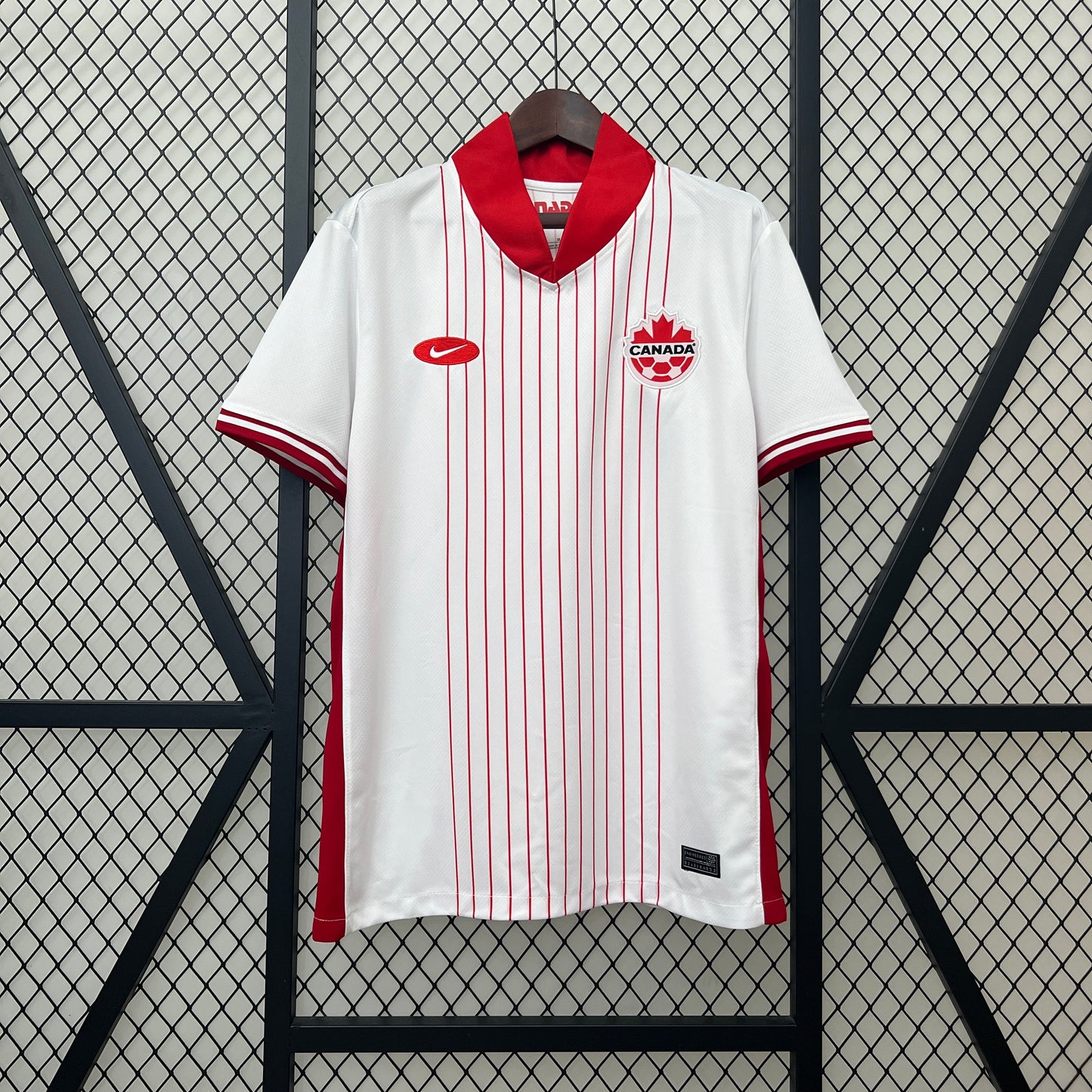 Canada 2024 Alternativa