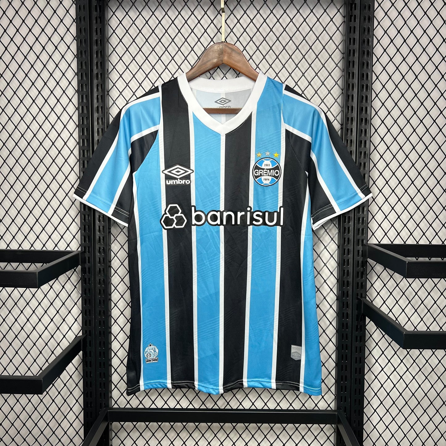 Gremio 24/25 Casa
