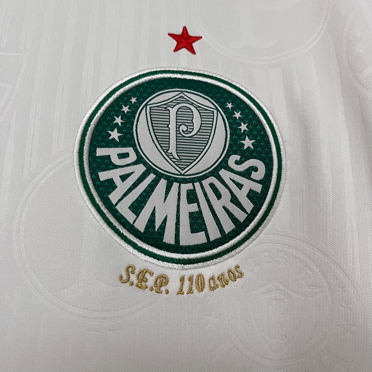 Palmeiras 24/25 Alternativa