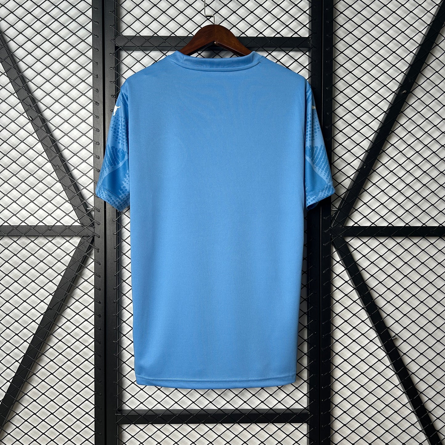 Palmeiras 25/26 Goalkeeper blue