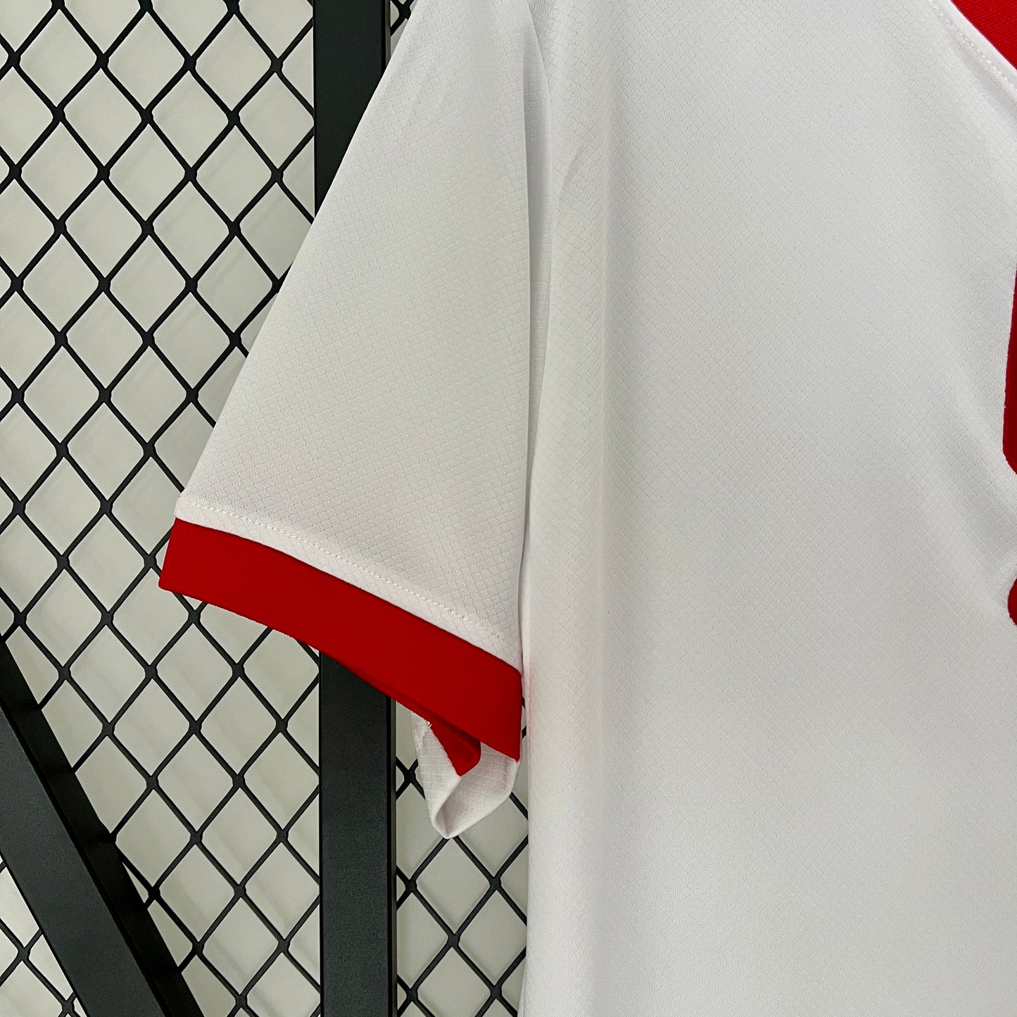 Polonia 2024 Casa