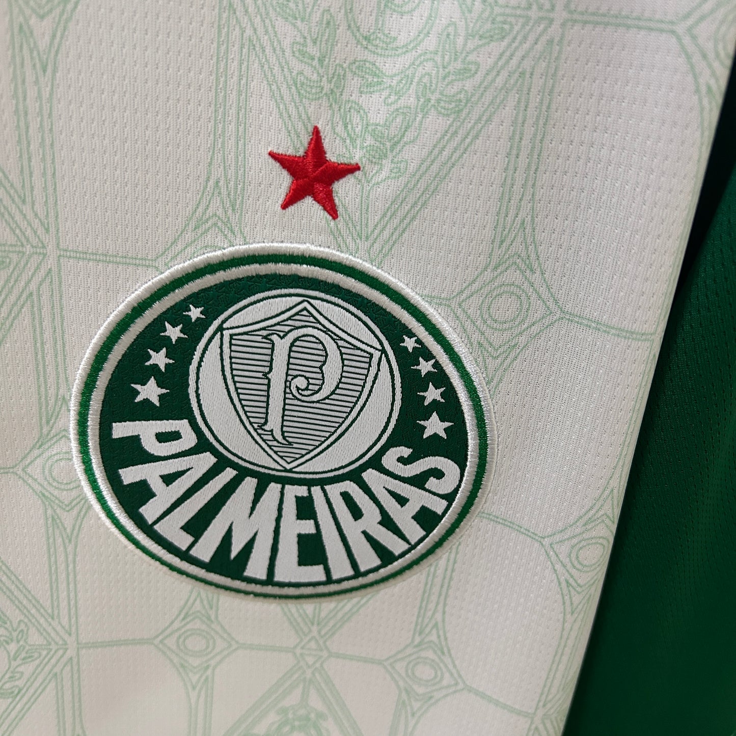 Palmeiras 25/26 Alternativa