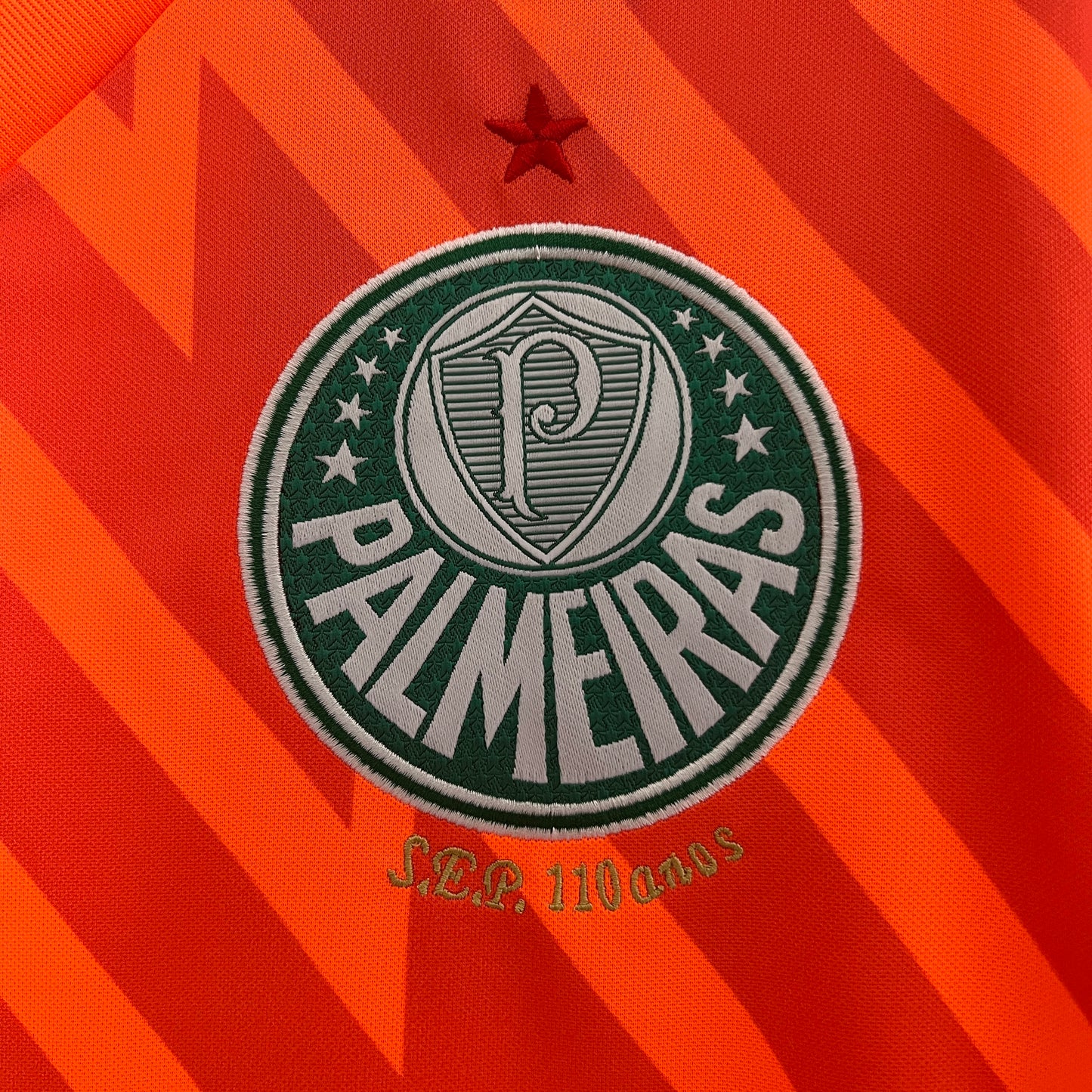 Palmeiras 24/25 Goalkeeper