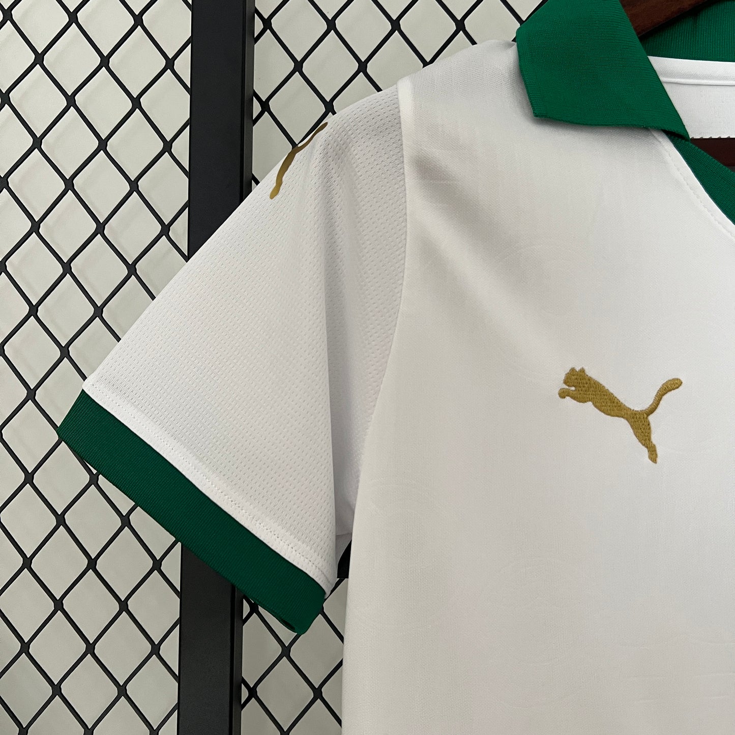 Palmeiras 24/25 Feminina Alternativa