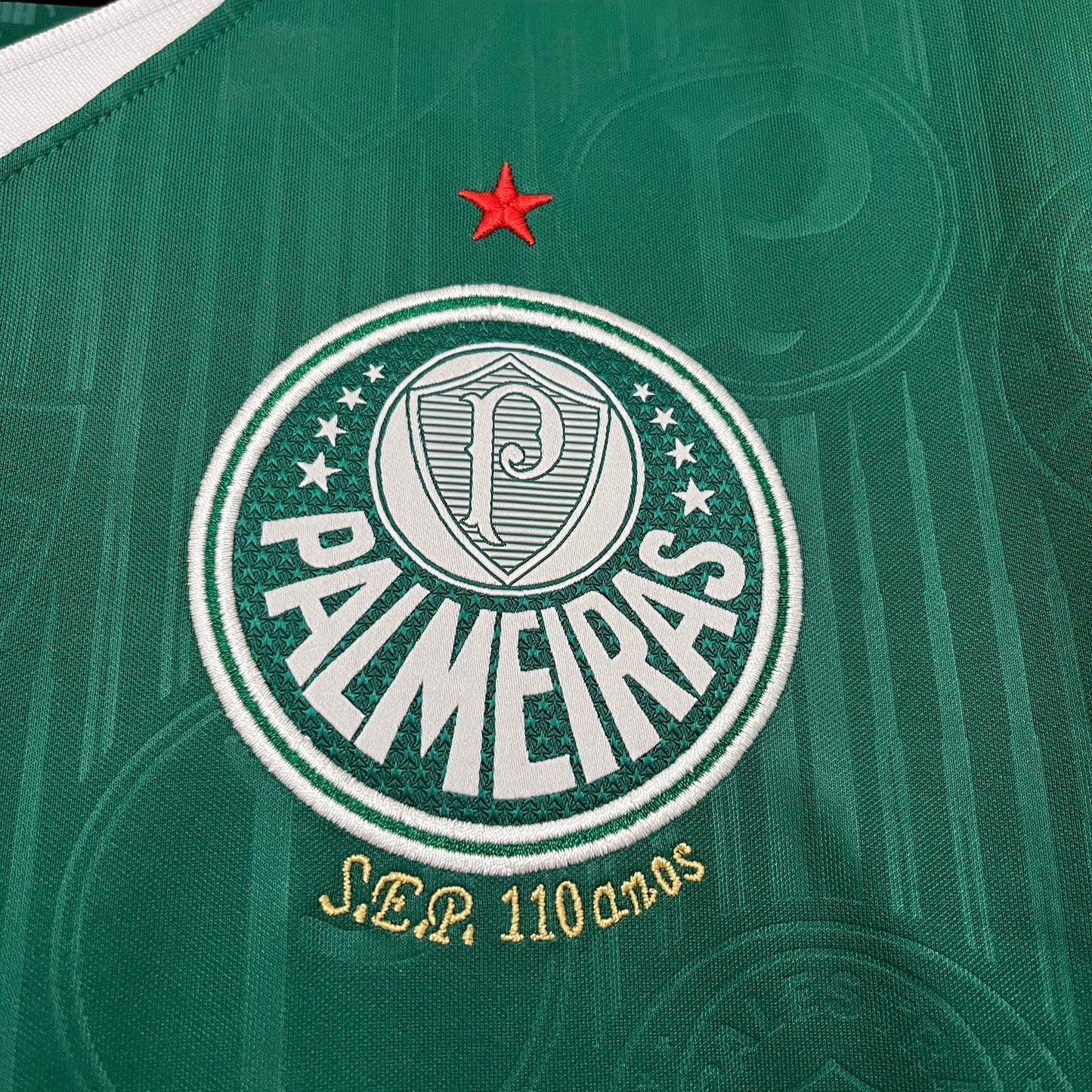 Palmeiras 24/25 Casa