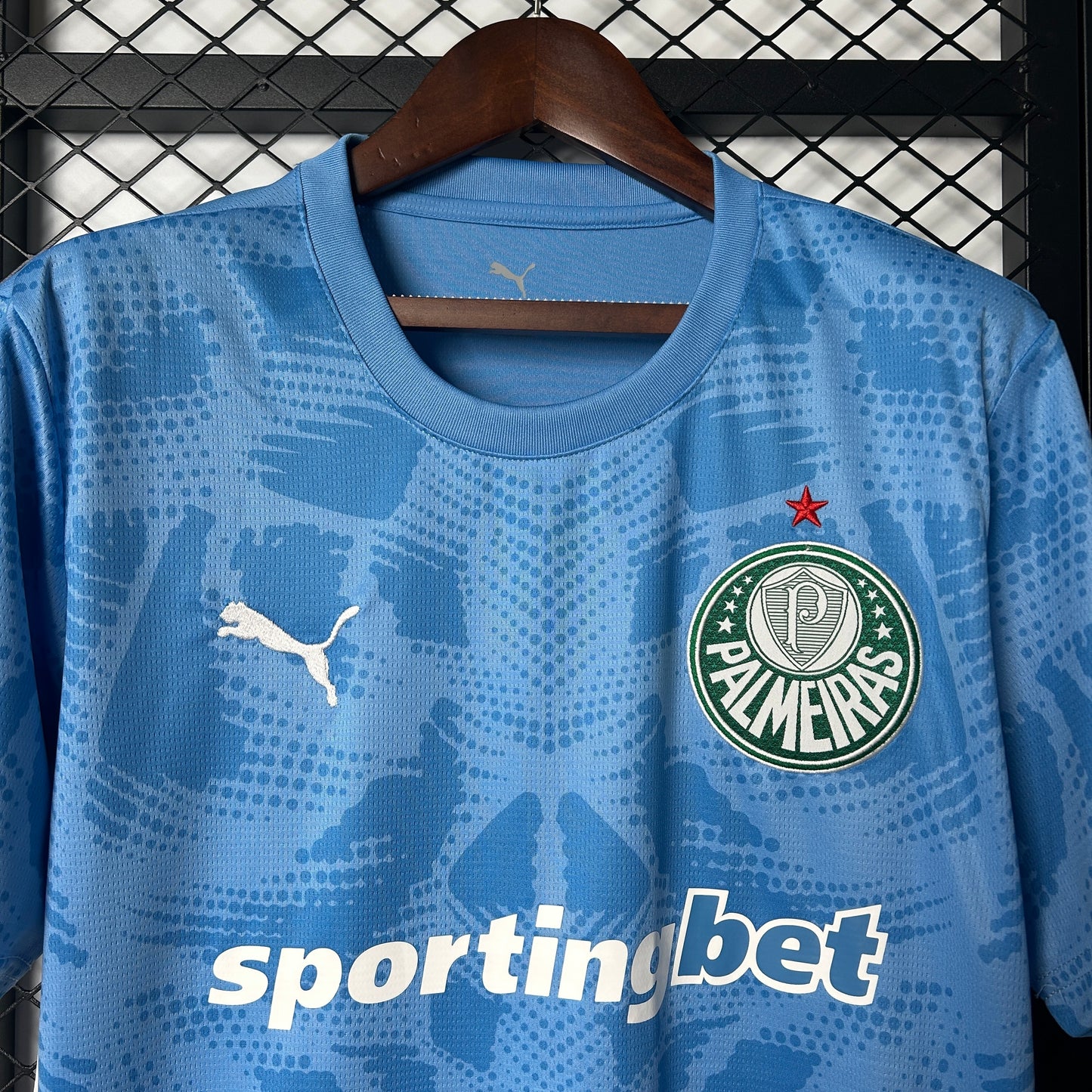 Palmeiras 25/26 Goalkeeper blue