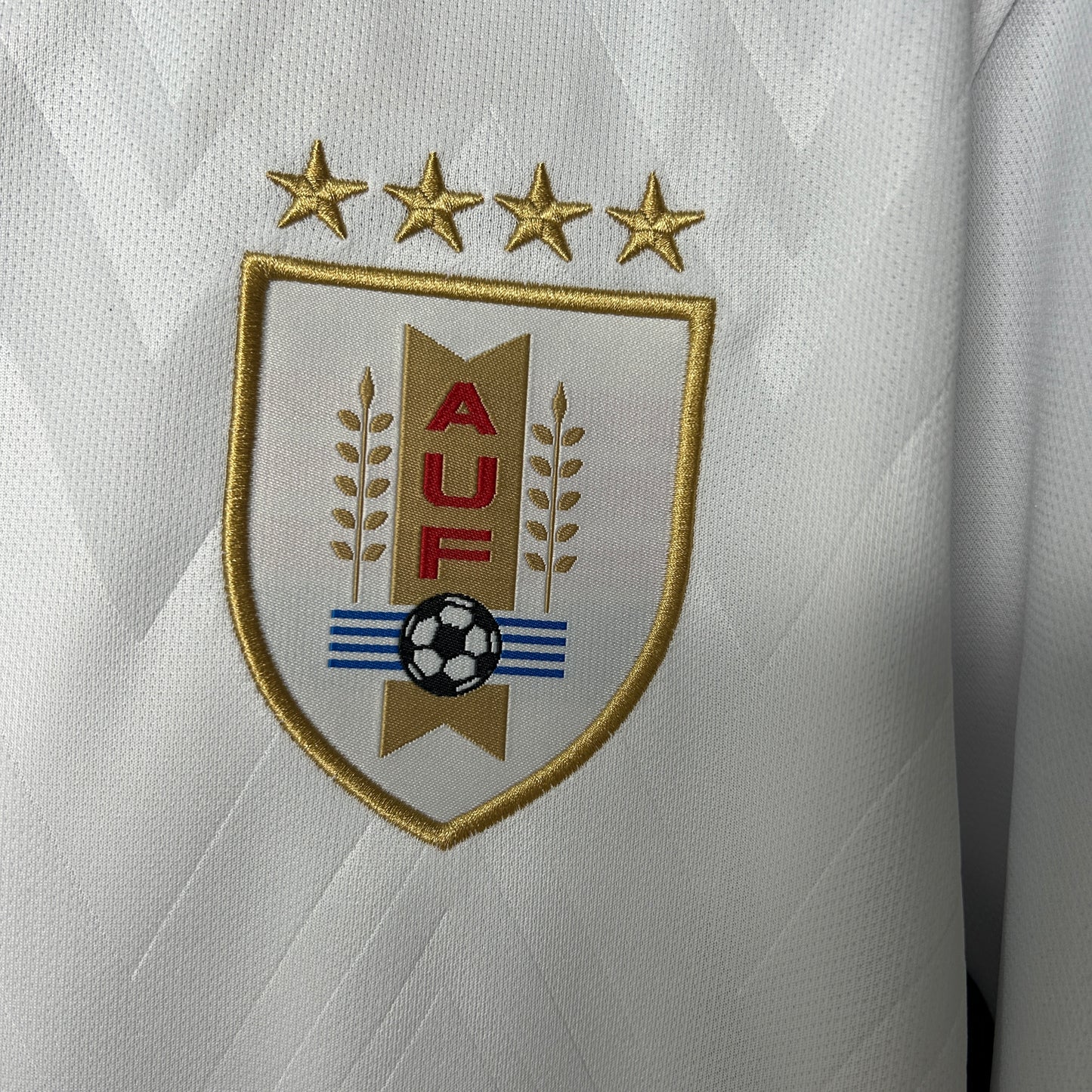 Uruguay 2025 Alternativa