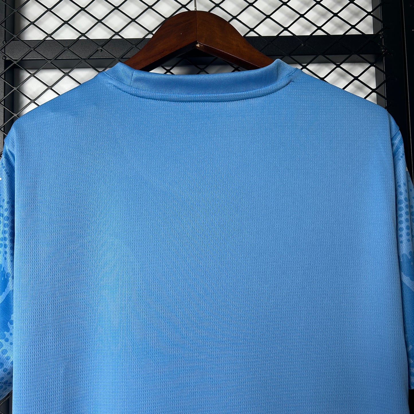 Palmeiras 25/26 Goalkeeper blue