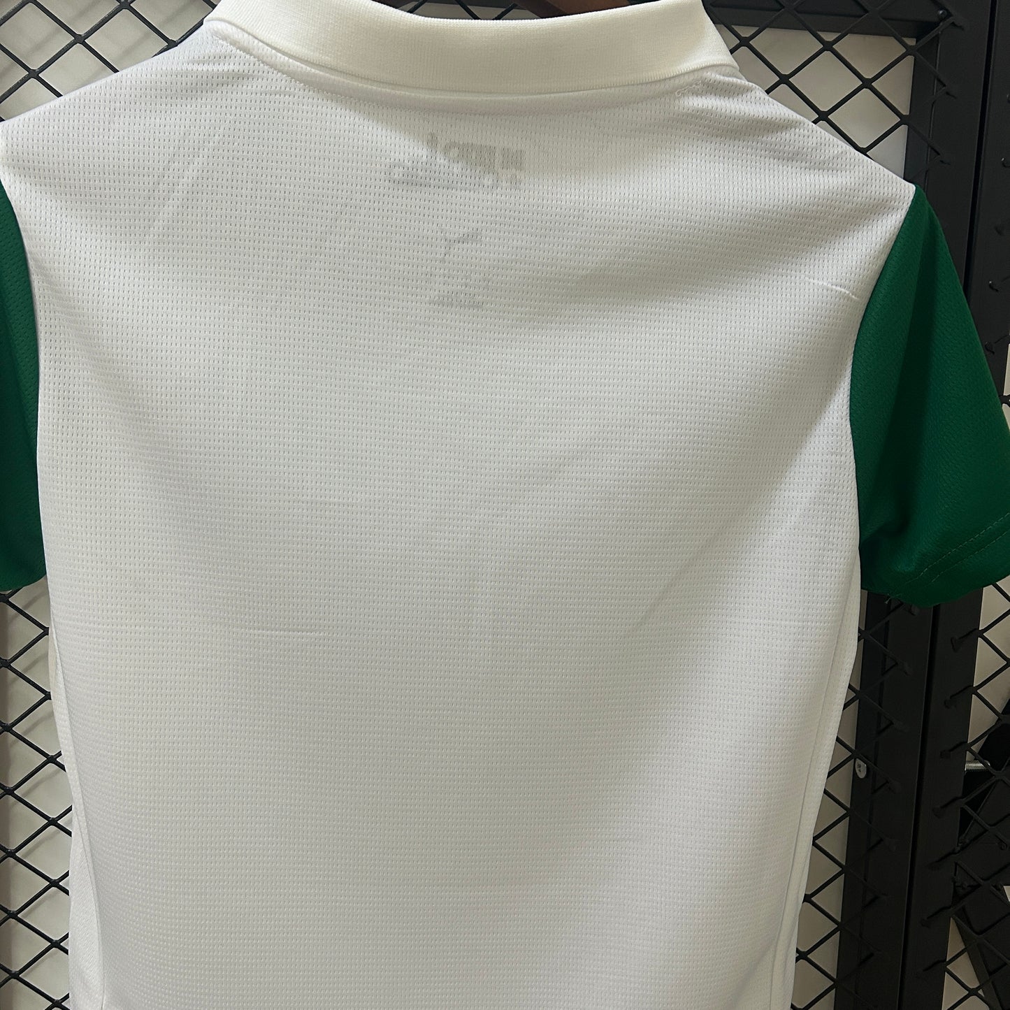 Palmeiras 25/26 Feminina Alternativa