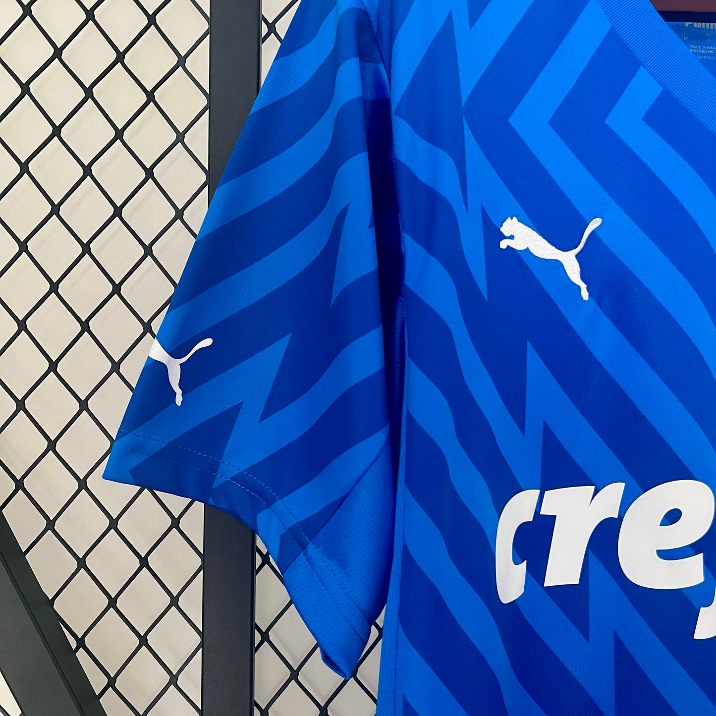 Palmeiras 24/25 Goalkeeper Blue