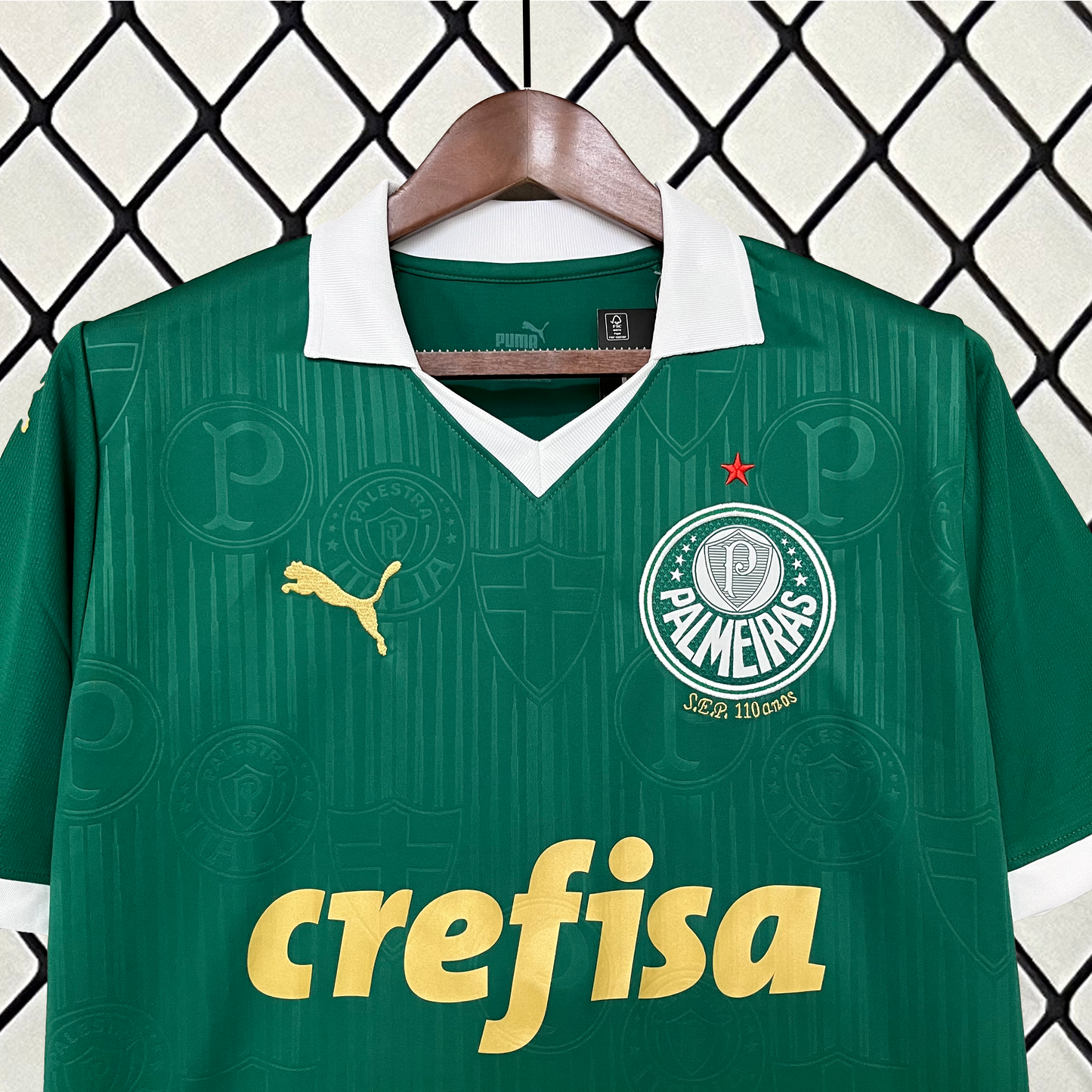 Palmeiras 24/25 Casa