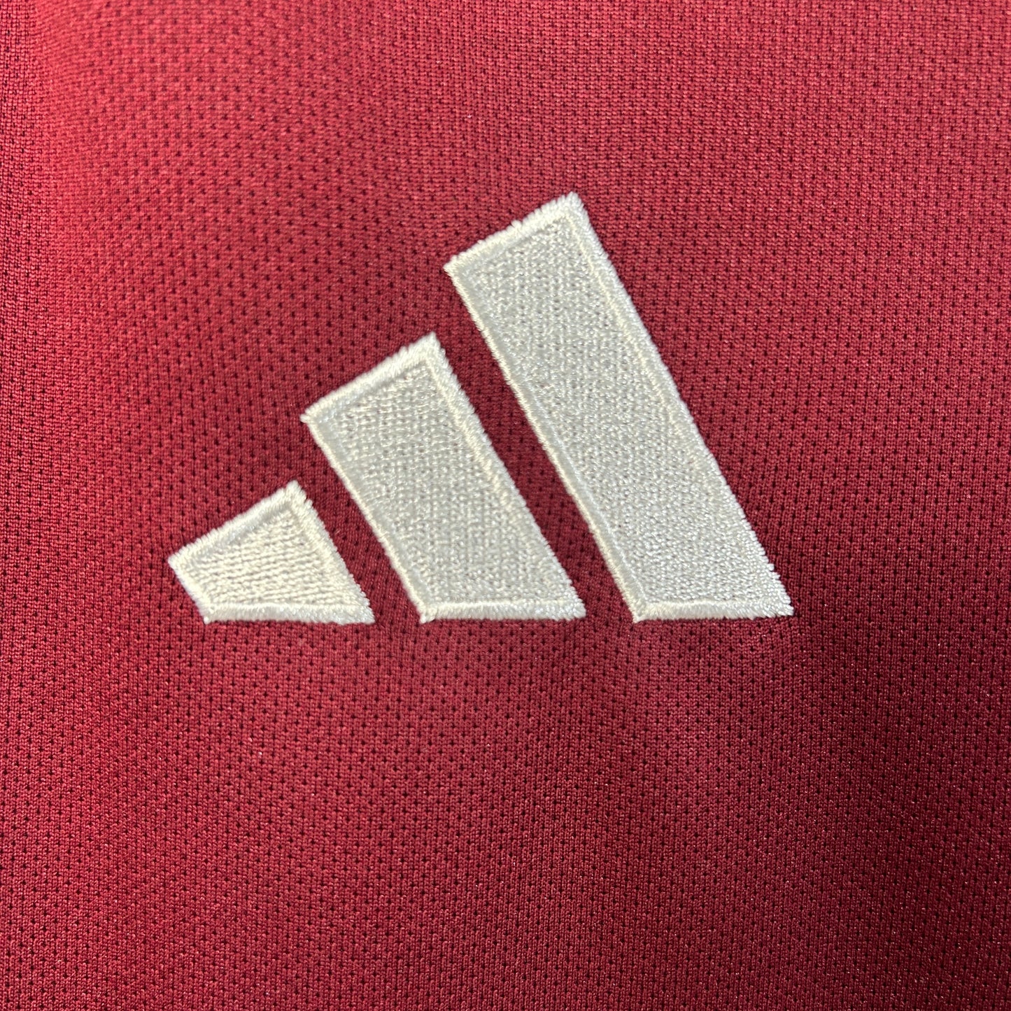 Aston Villa 25/26 Casa