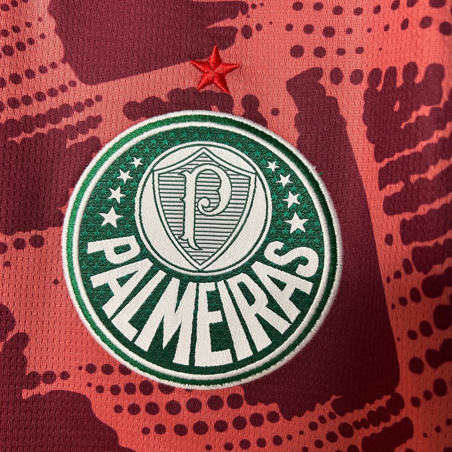 Palmeiras 25/26 Goalkeeper 2